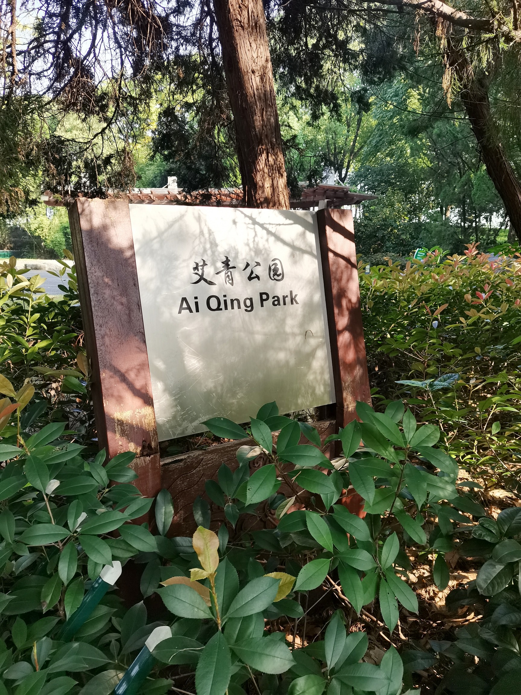 艾青公园旅行图片 1