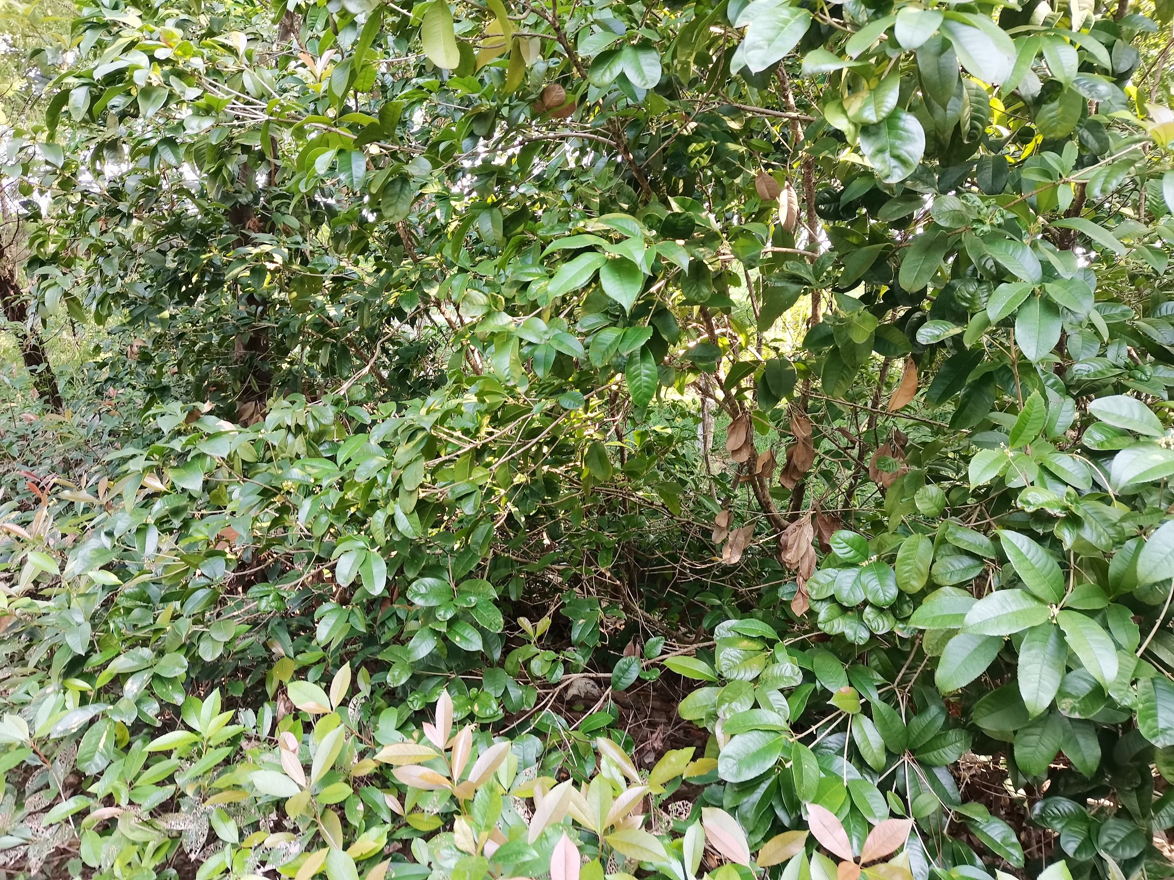 艾青公园旅行图片 3