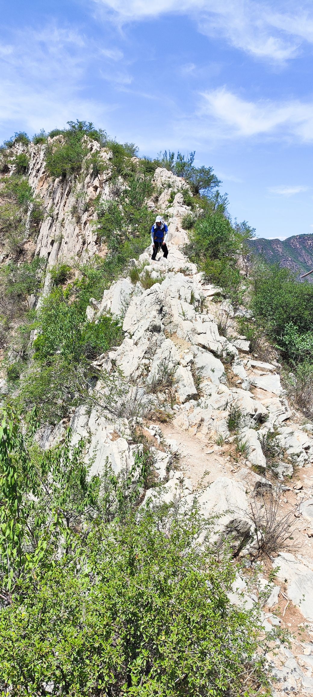 狗牙山旅行图片 3