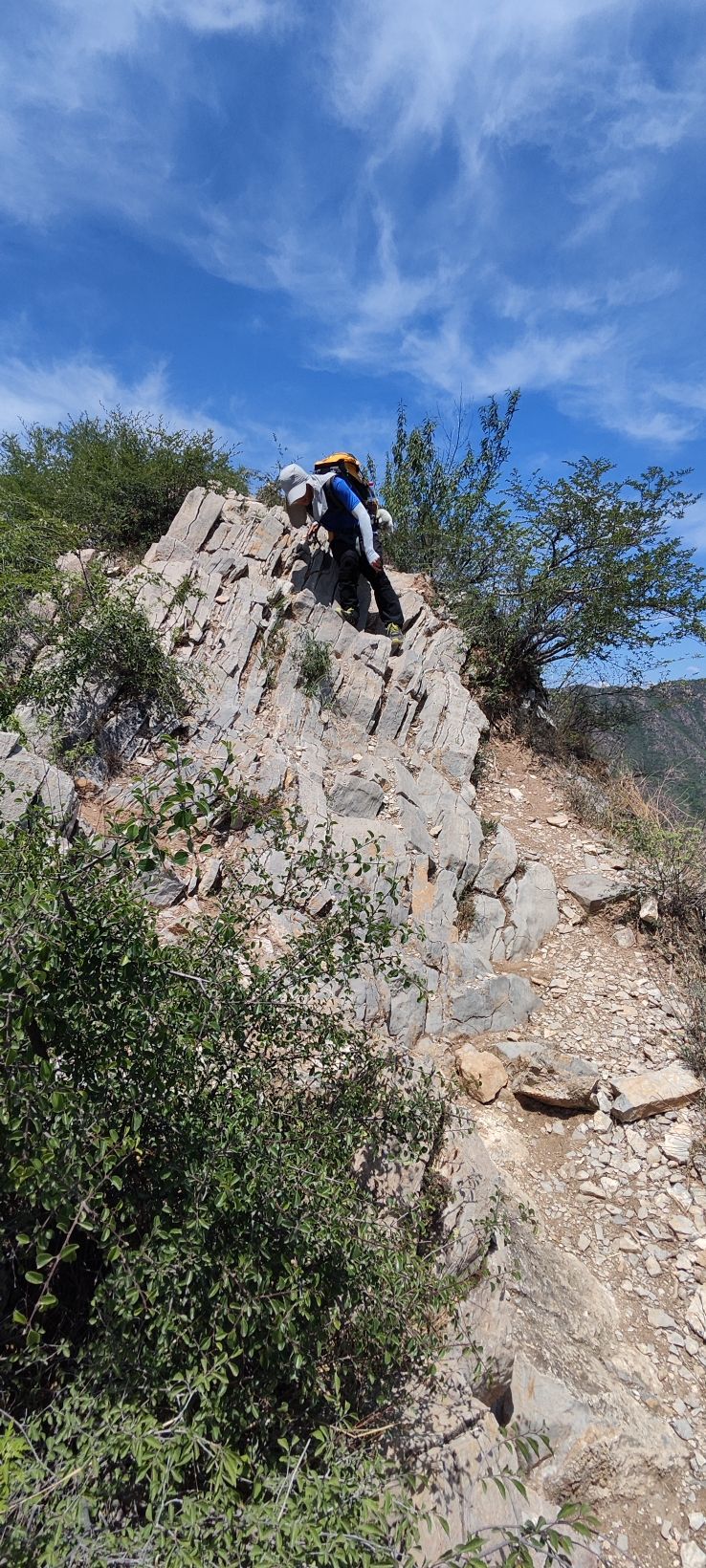 狗牙山旅行图片 1