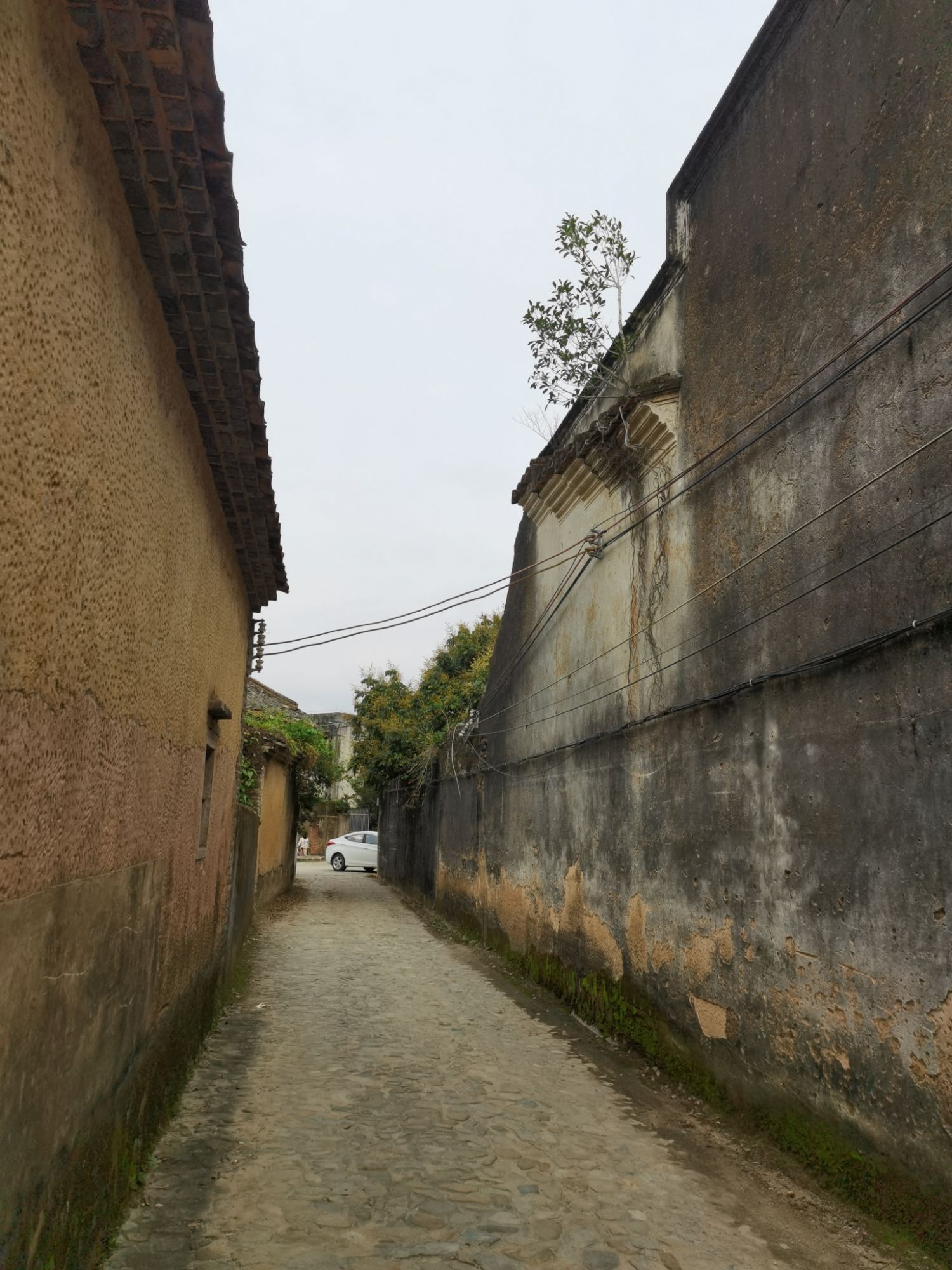 皇思扬古围村旅行图片 3
