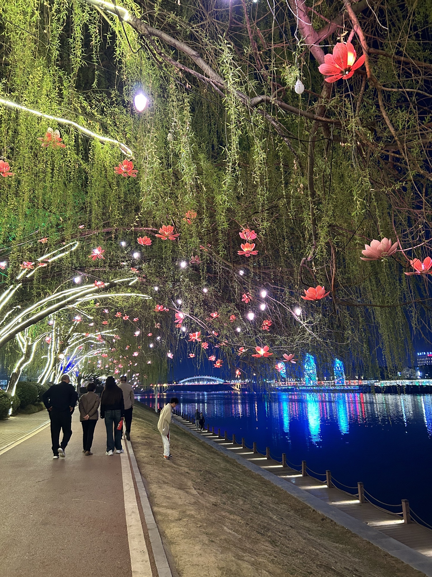 沙澧河风景区旅行图片 2
