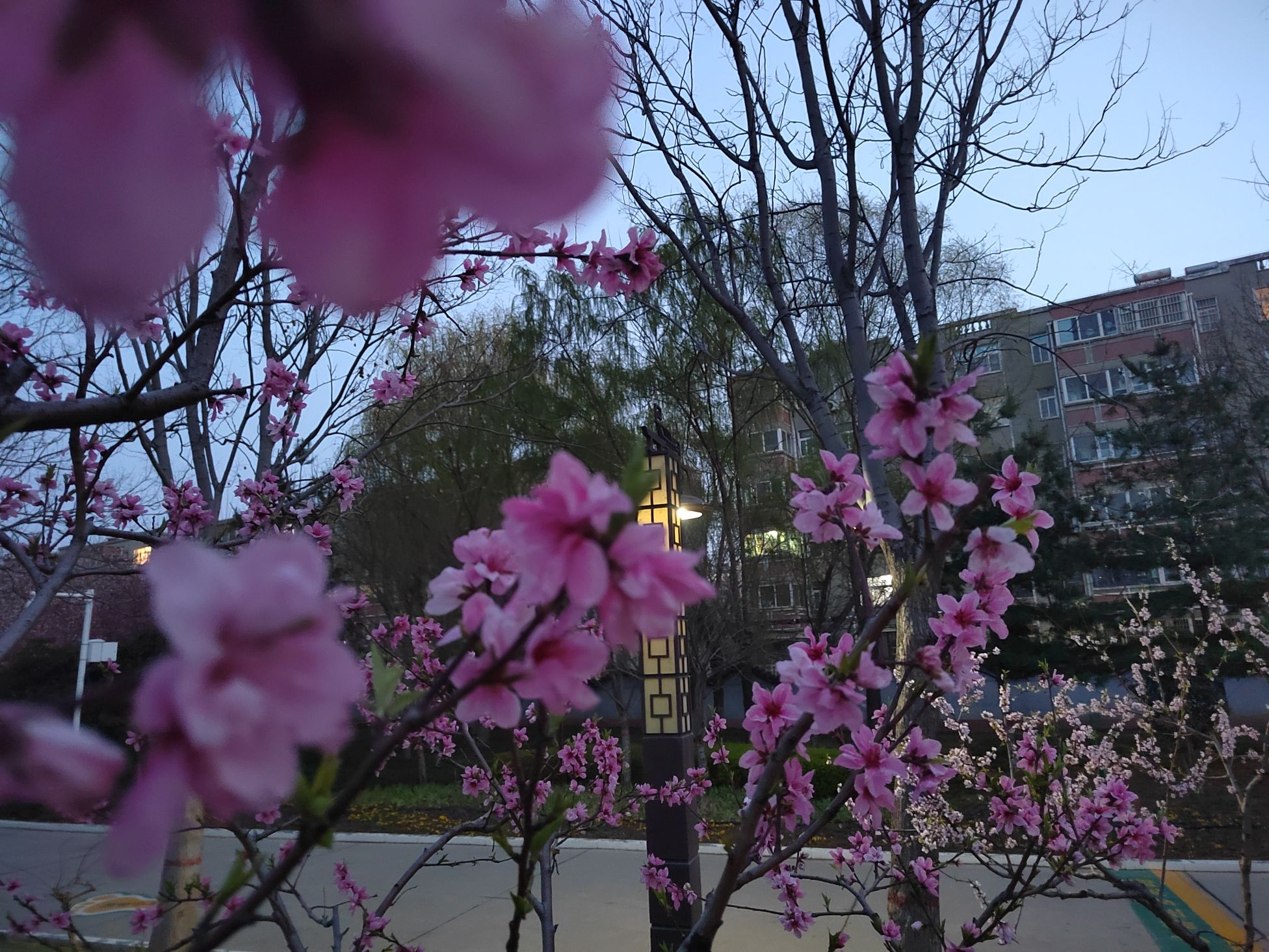 潘安园旅行图片 3