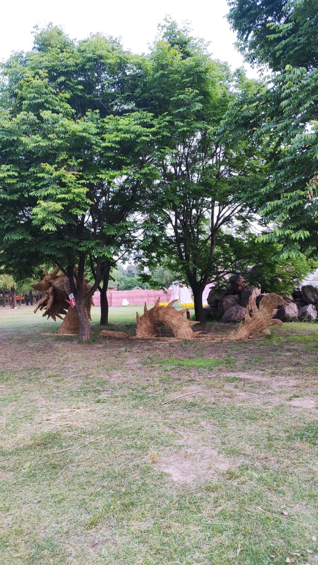 黄河富景生态世界旅行图片 1