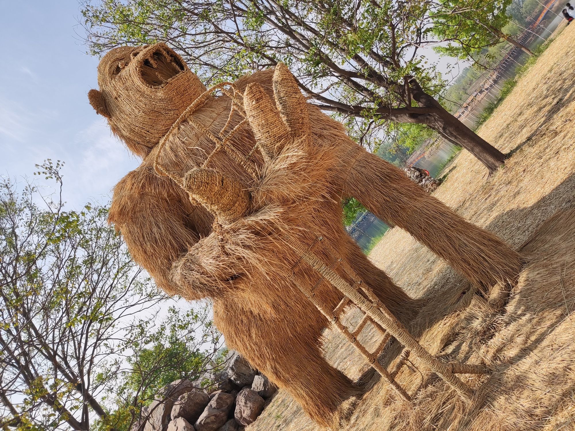 黄河富景生态世界旅行图片 1