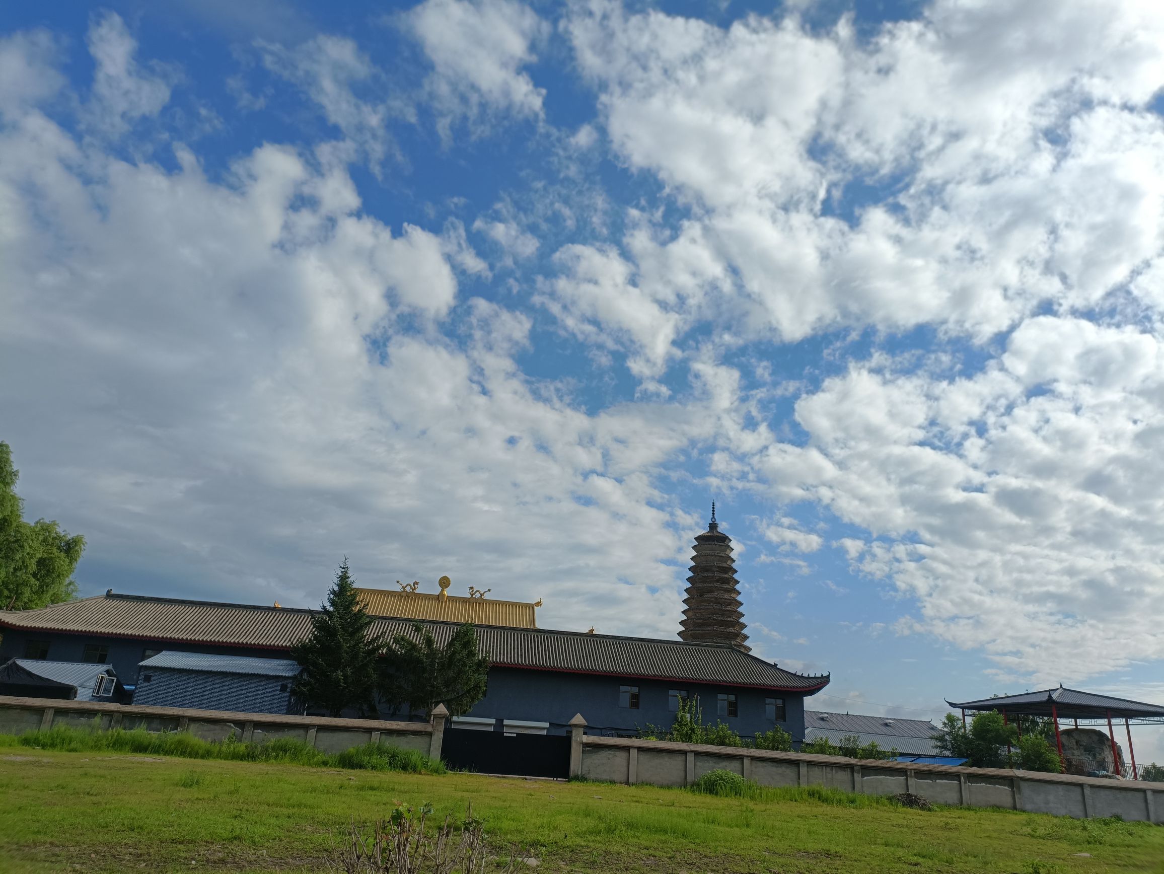 滨水新城珍稀植物园旅行图片 3
