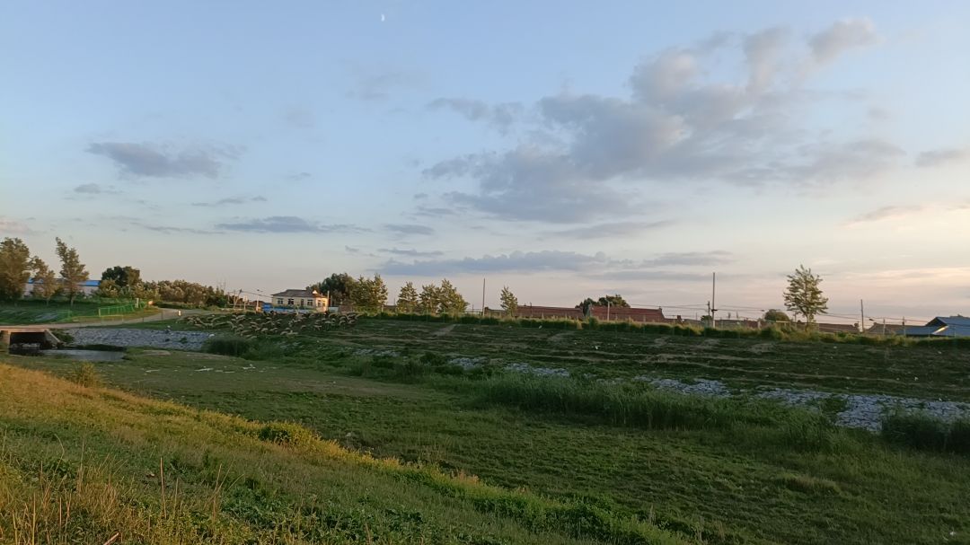 滨水新城珍稀植物园旅行图片 1