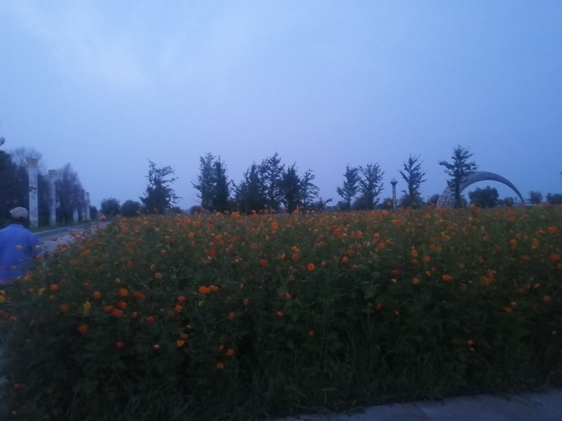 滨水新城珍稀植物园旅行图片 1