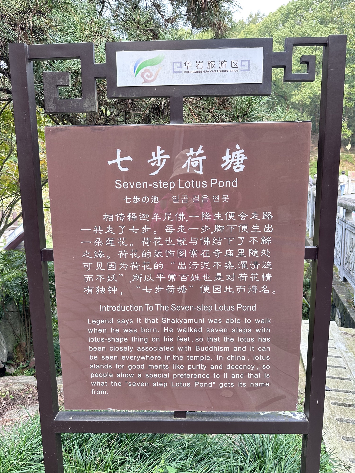 华岩旅游风景区七步荷塘