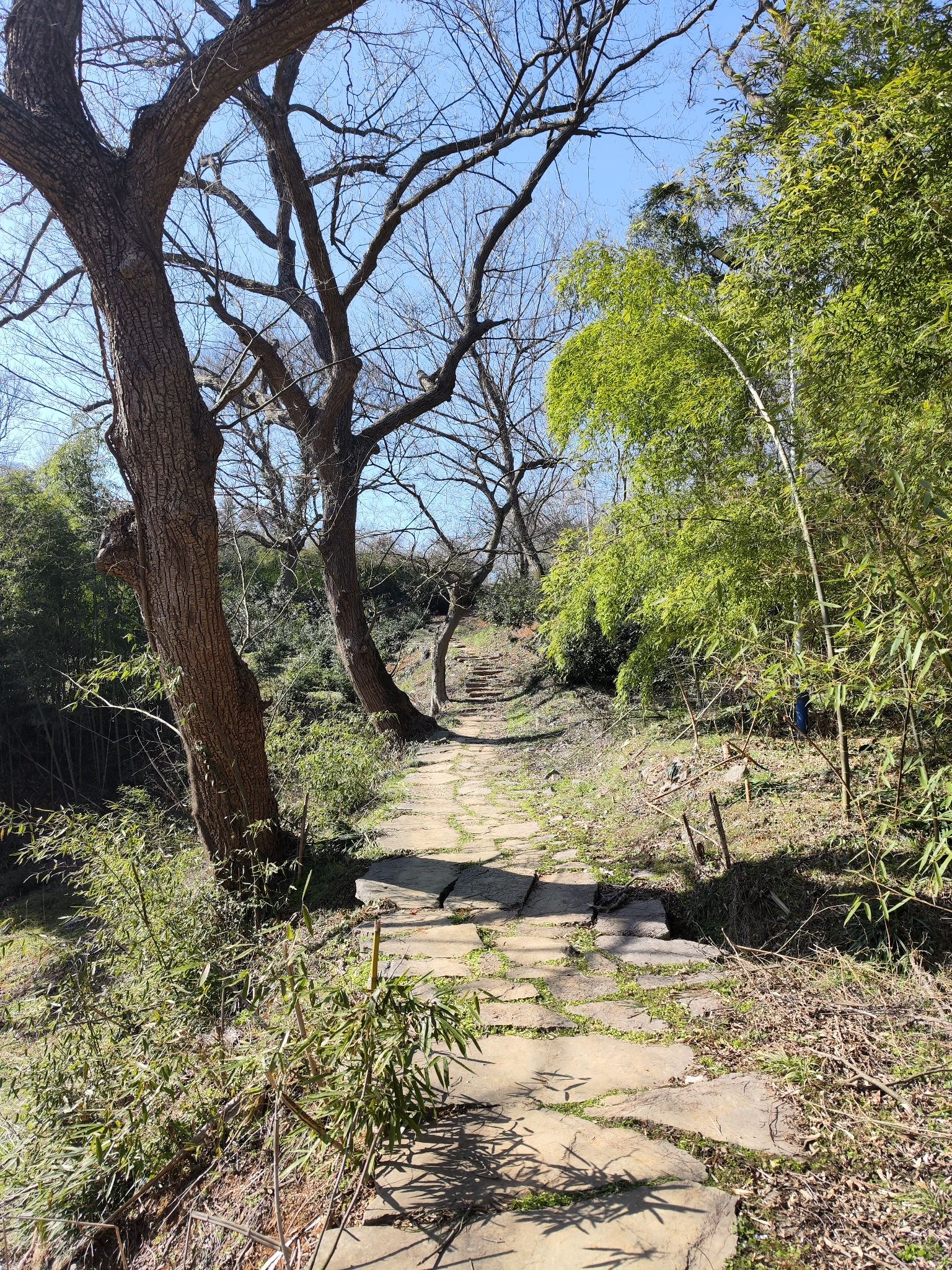 天池庵旅行图片 2