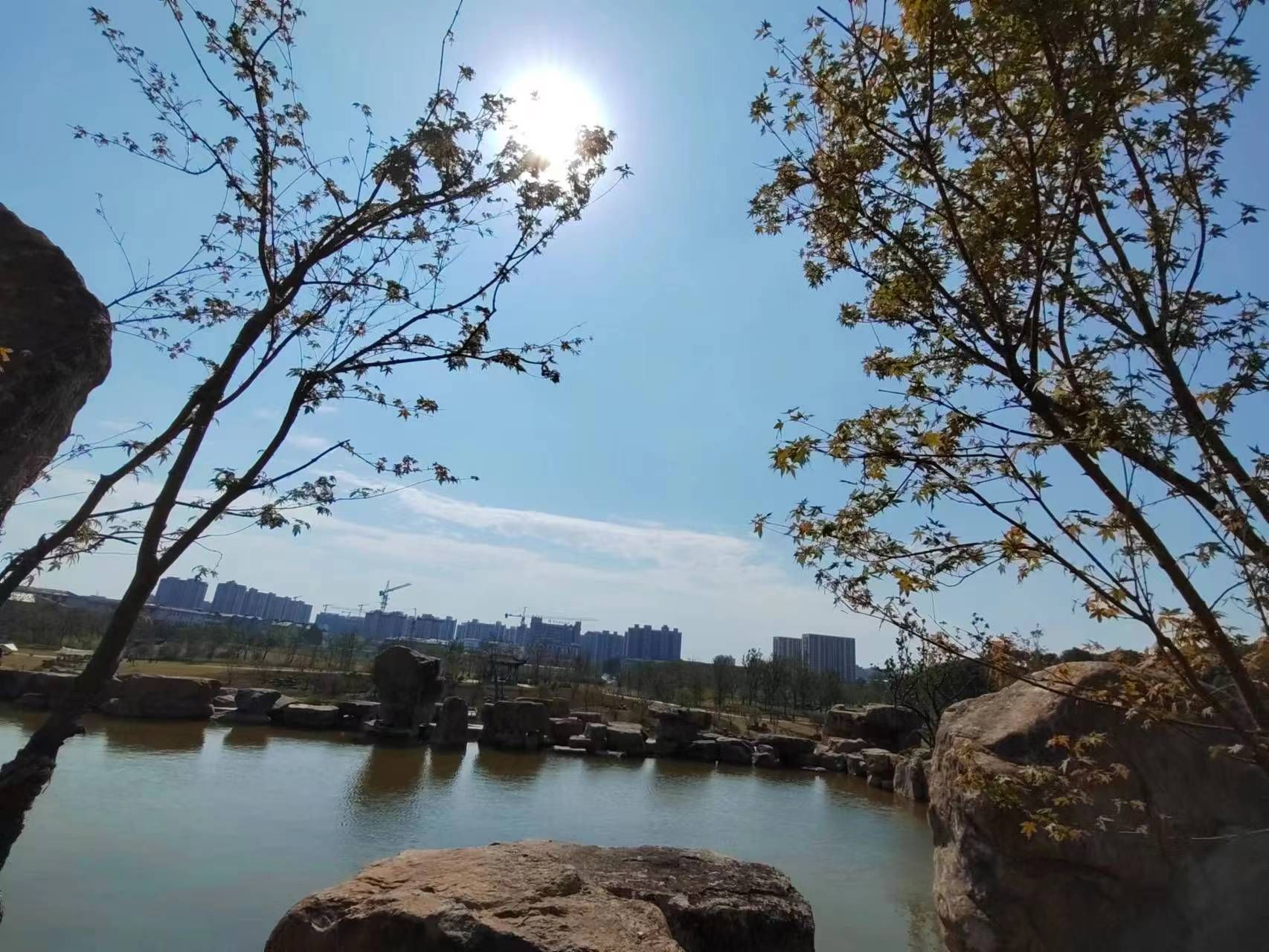横山桥中心公园旅行图片 1