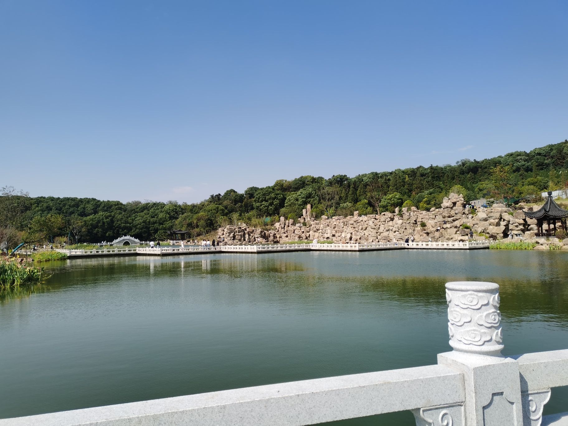 横山桥中心公园旅行图片 2