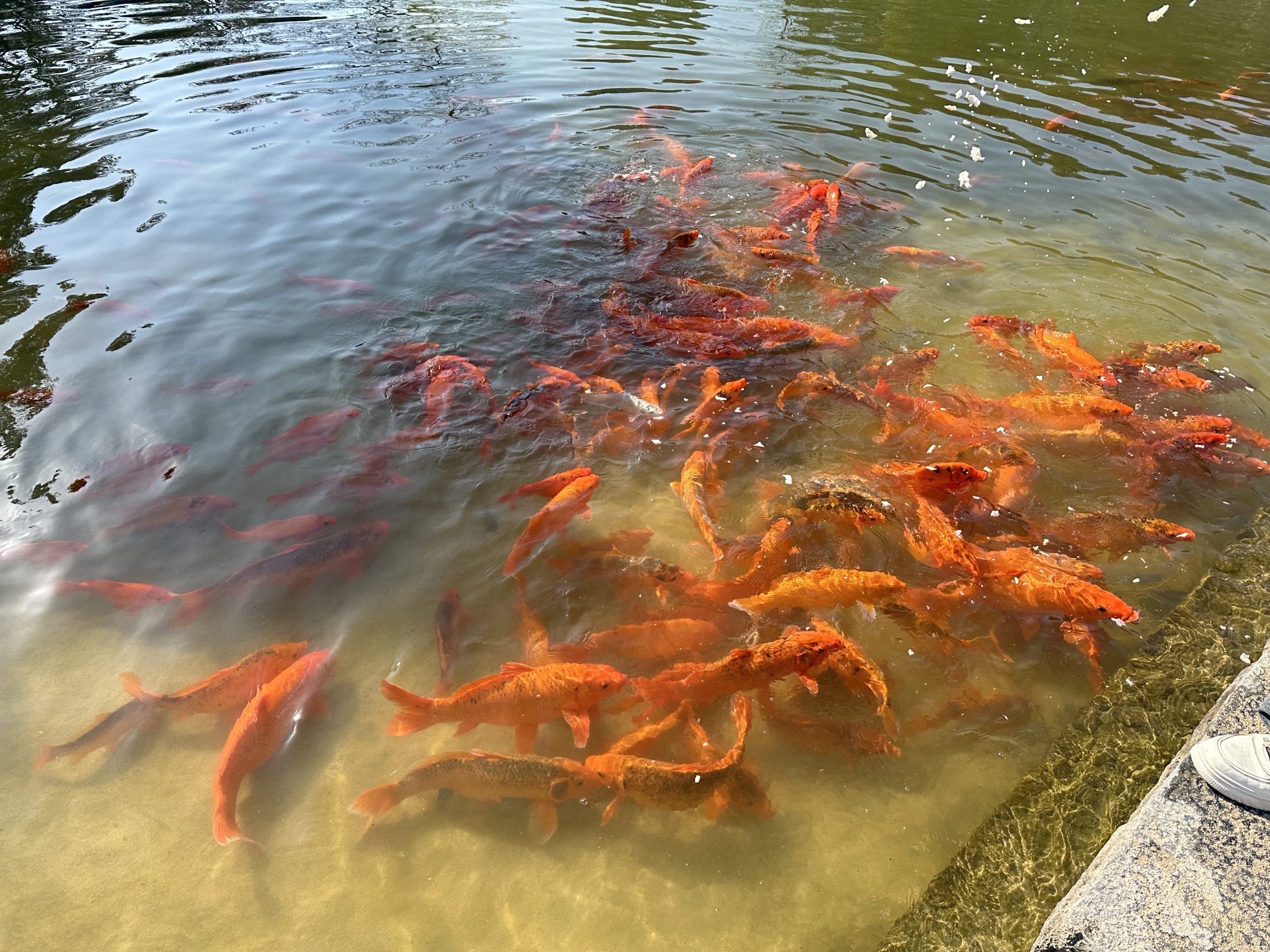 浙江兰湖旅游度假区旅行图片 2