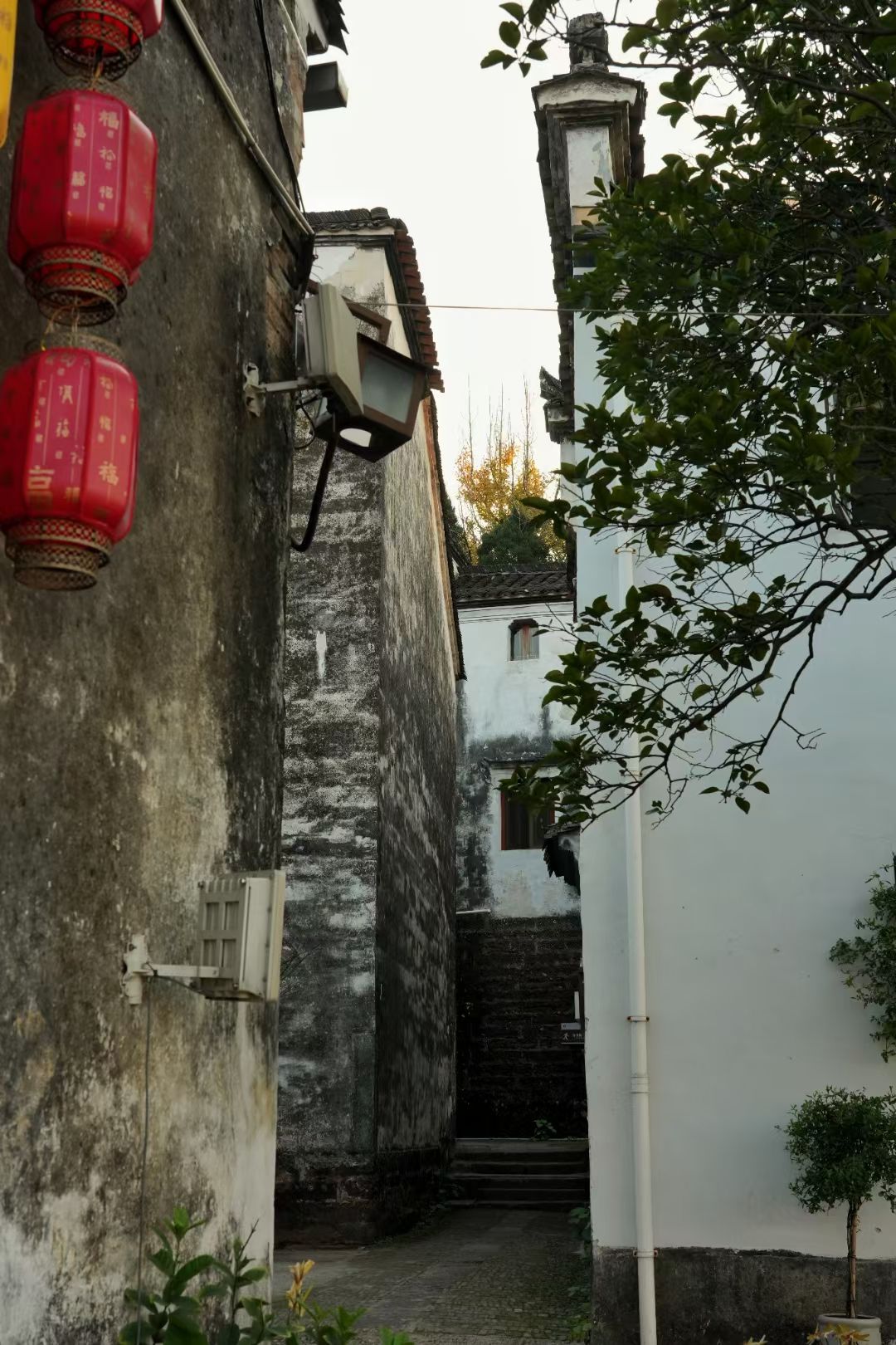 浙江兰湖旅游度假区旅行图片 2