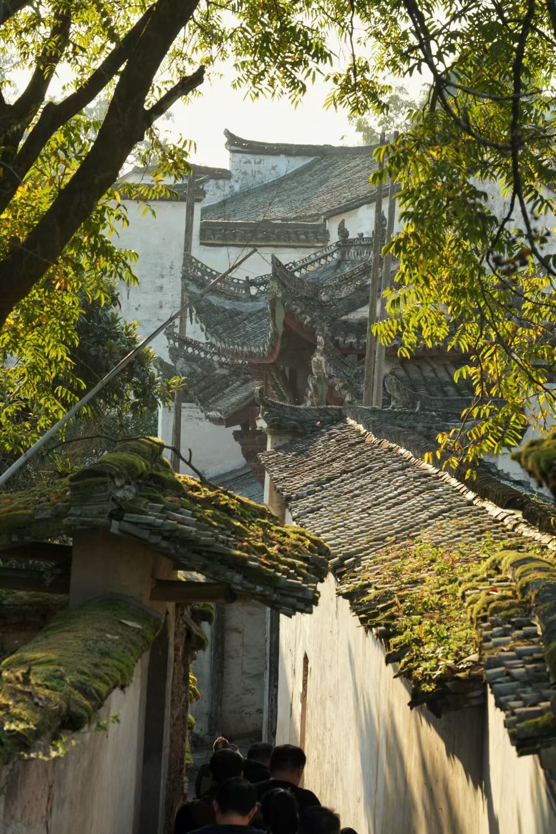 浙江兰湖旅游度假区旅行图片 3
