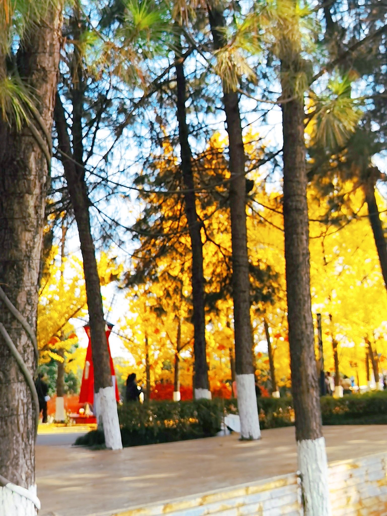 浙江兰湖旅游度假区旅行图片 2