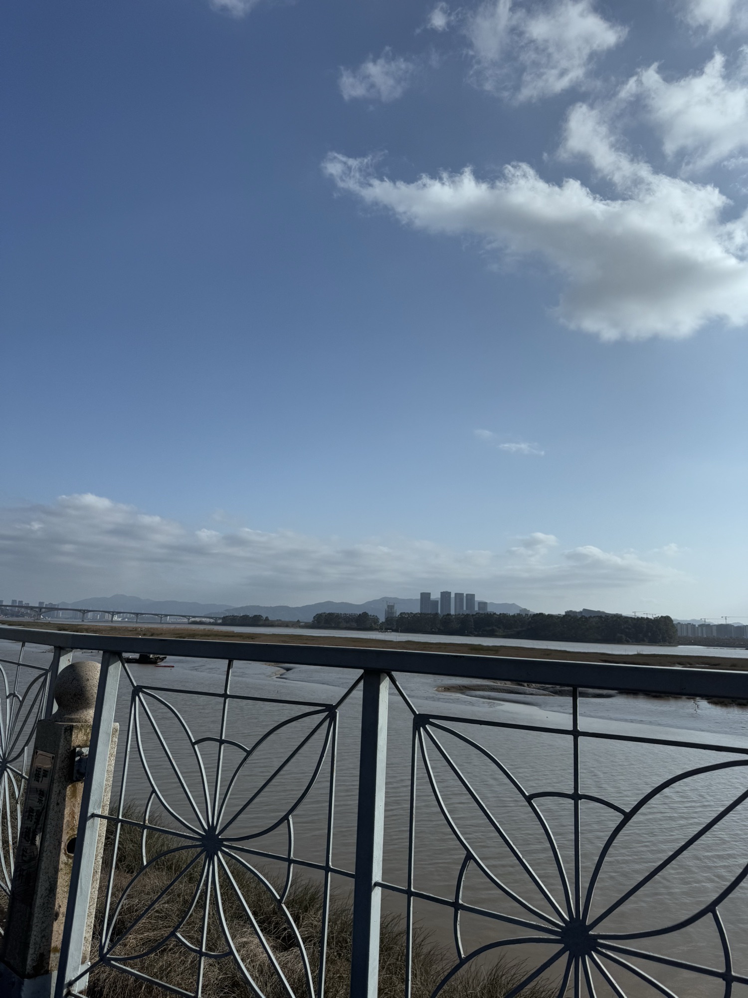 东江滨公园旅行图片 2