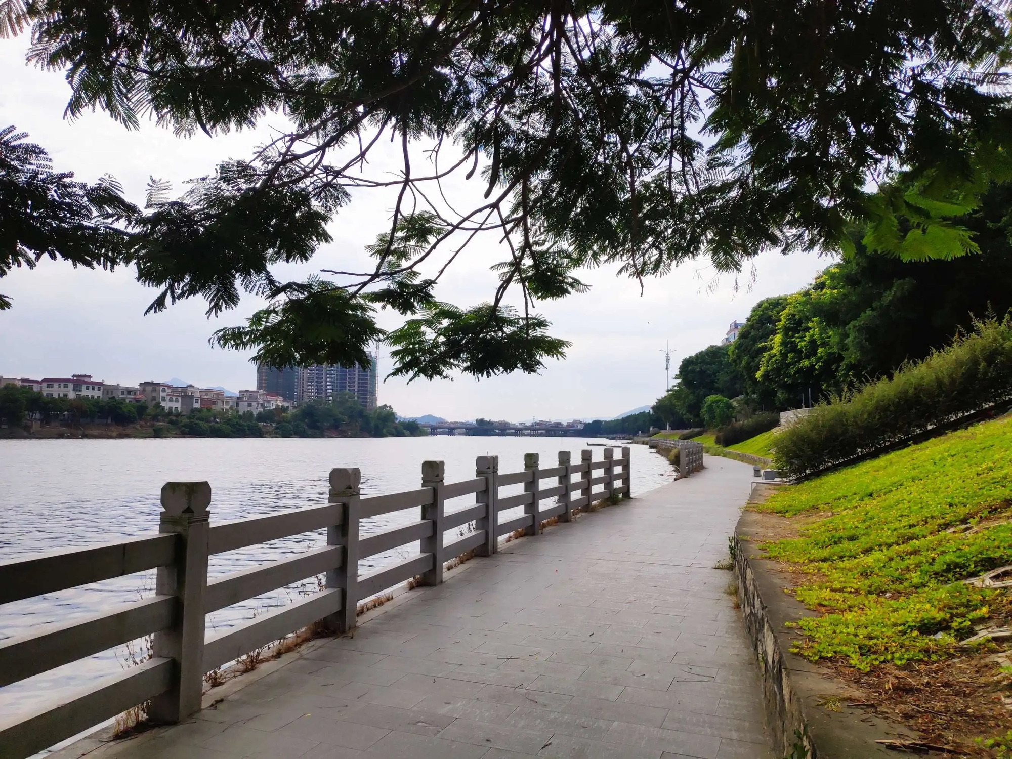 东江滨公园旅行图片 2