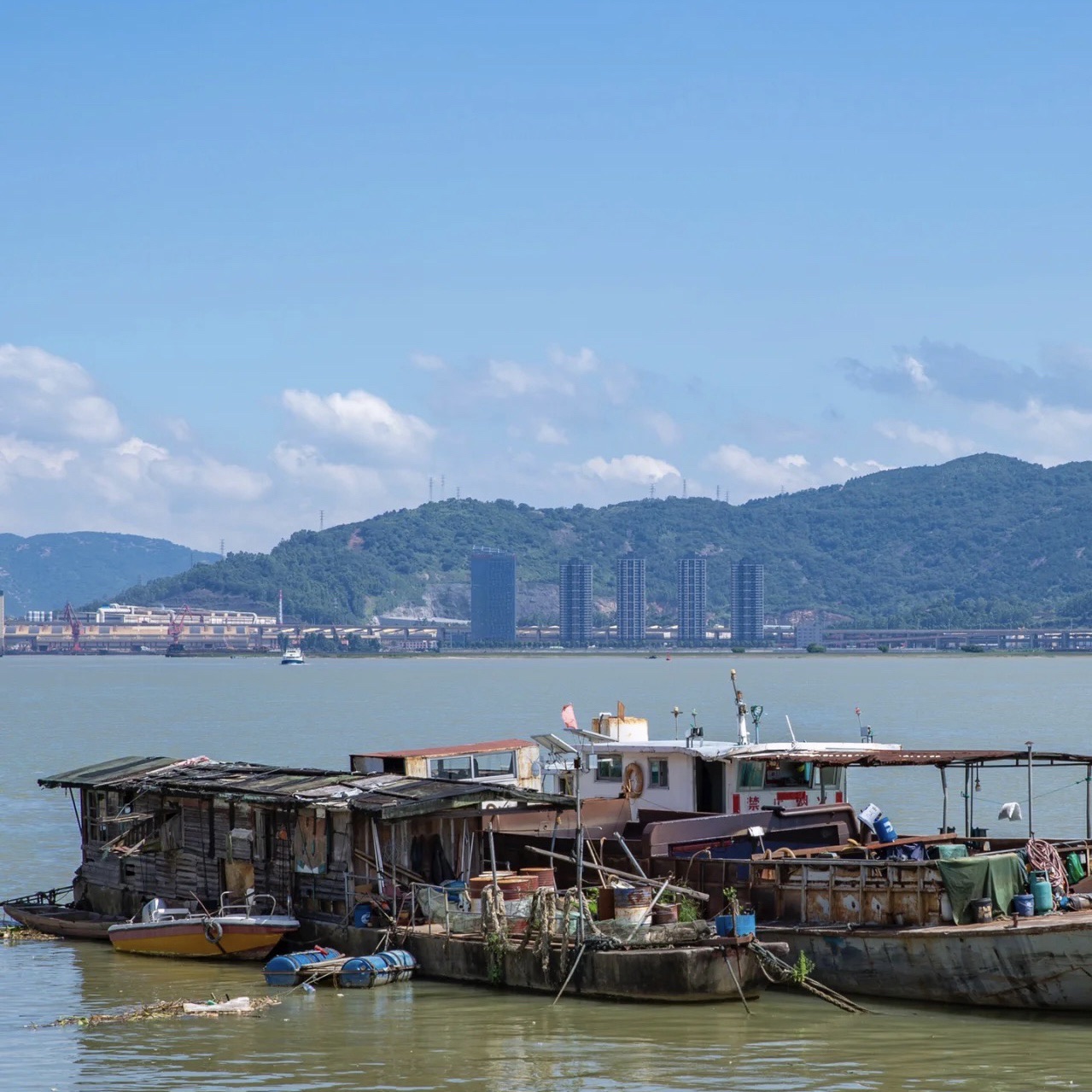 东江滨公园旅行图片