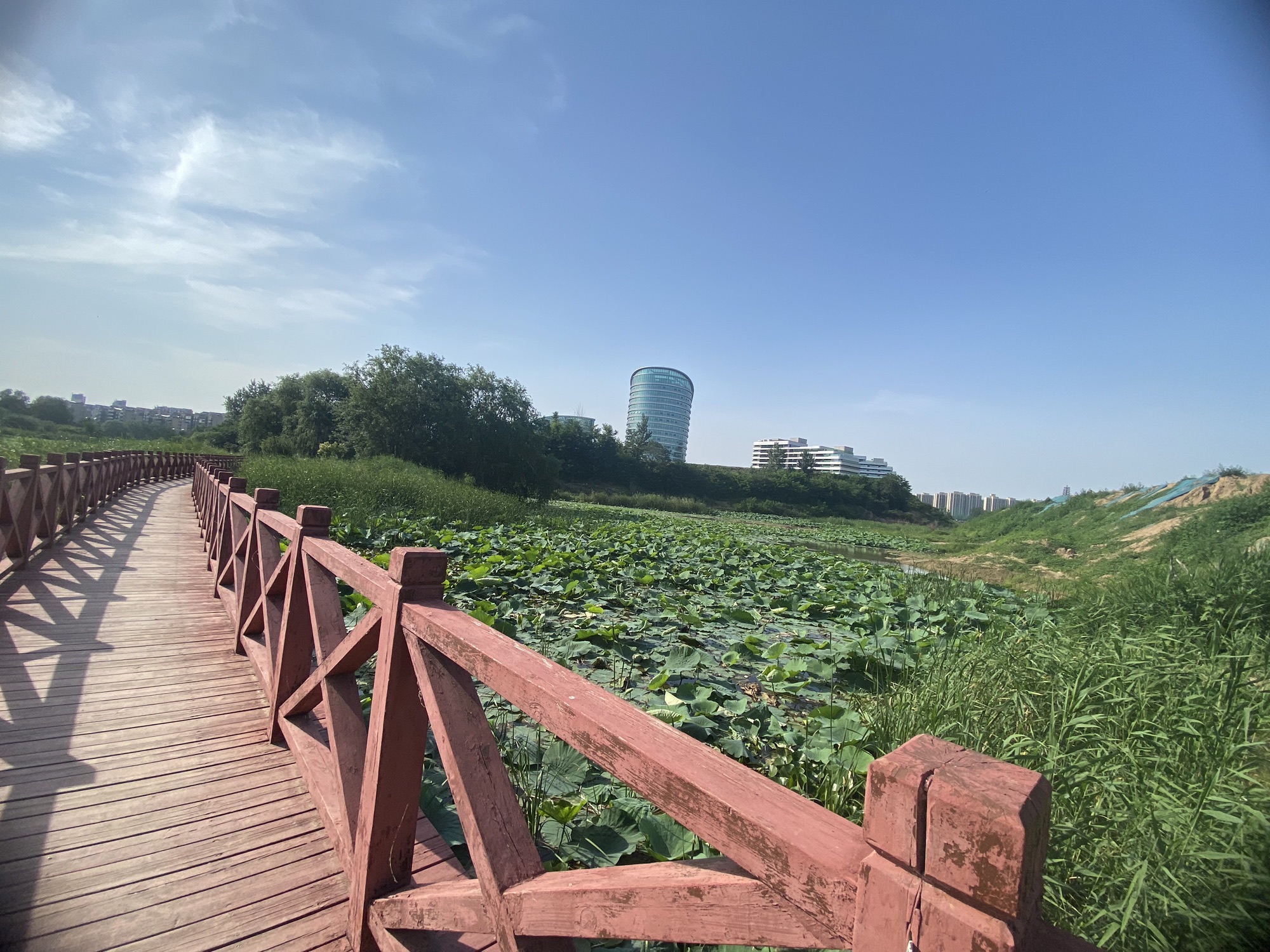 新郑市轩辕湖湿地文化园旅行图片 3