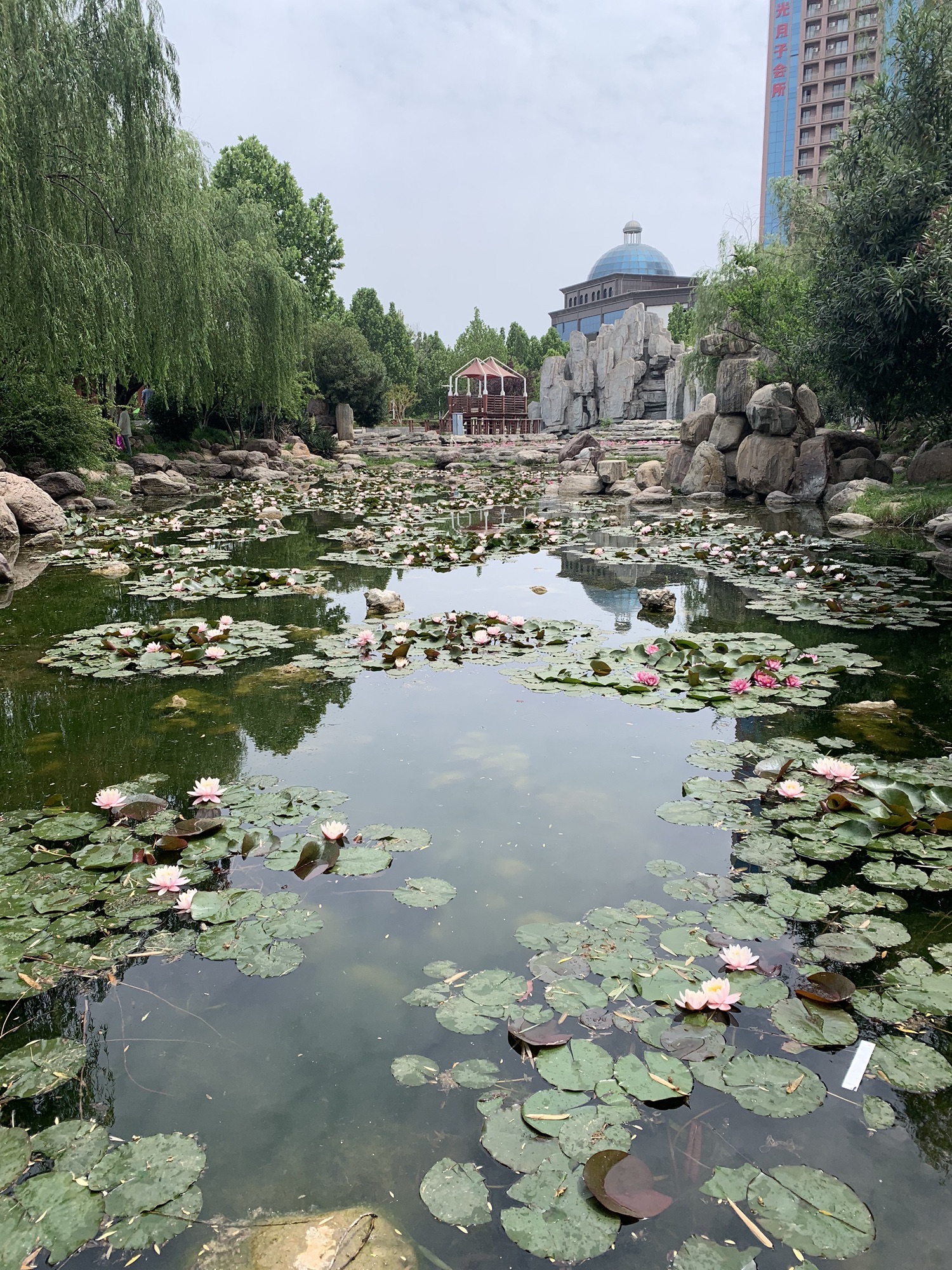 左照公园旅行图片 1