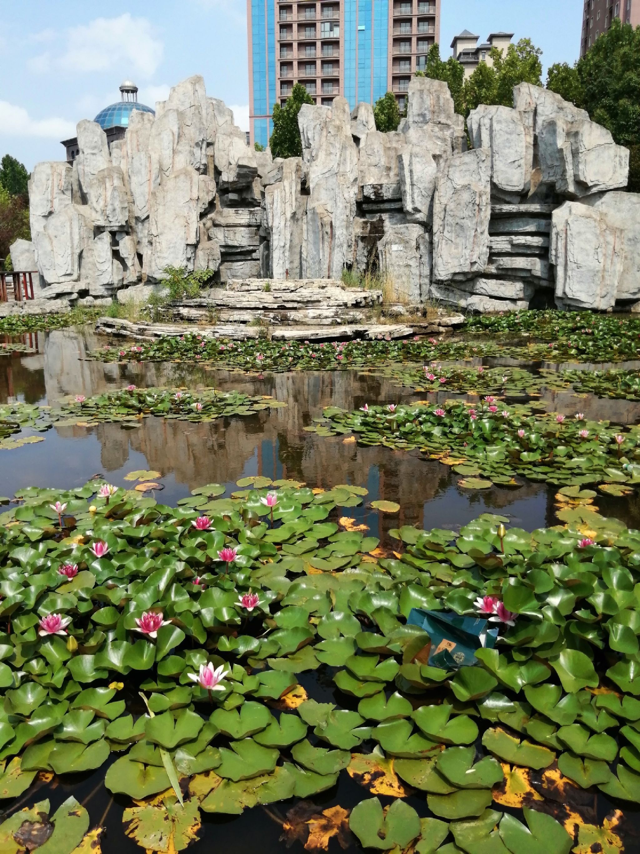 左照公园旅行图片 2