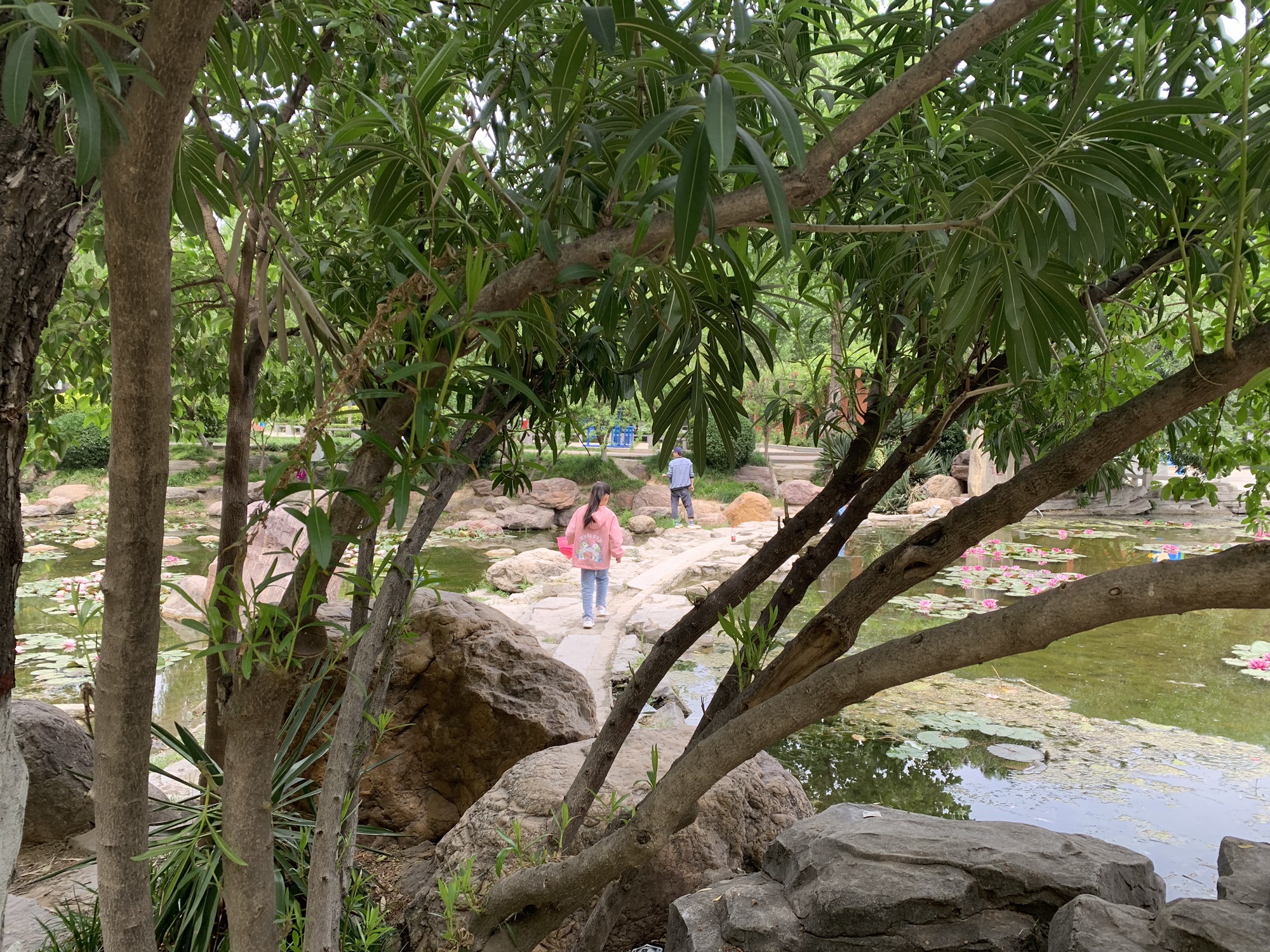 左照公园旅行图片 3
