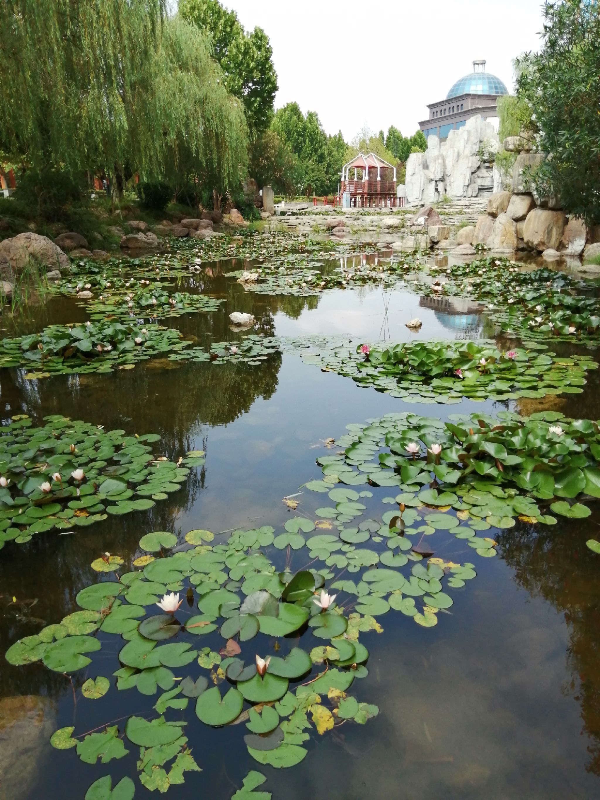 左照公园旅行图片 1