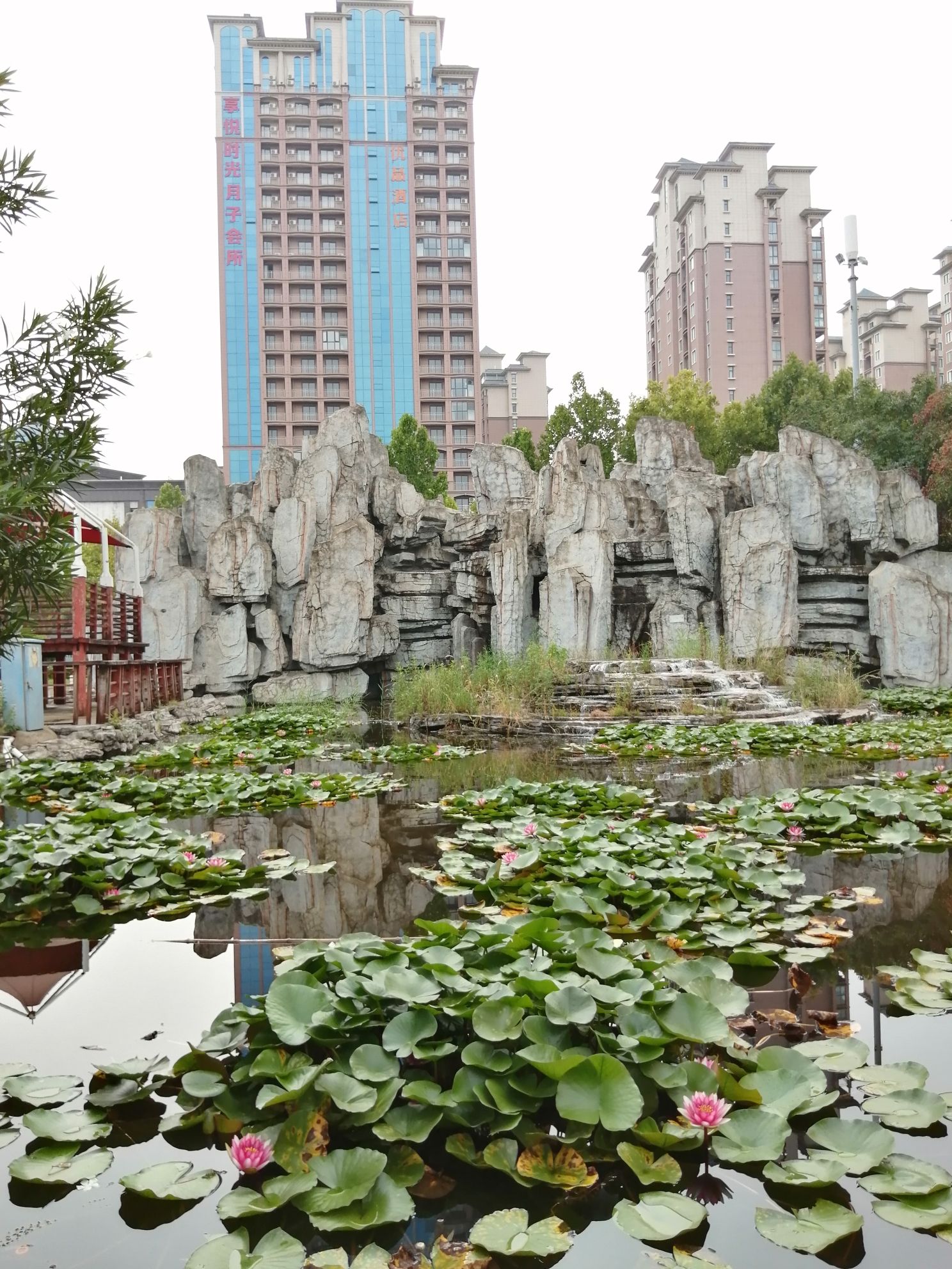 左照公园旅行图片 1