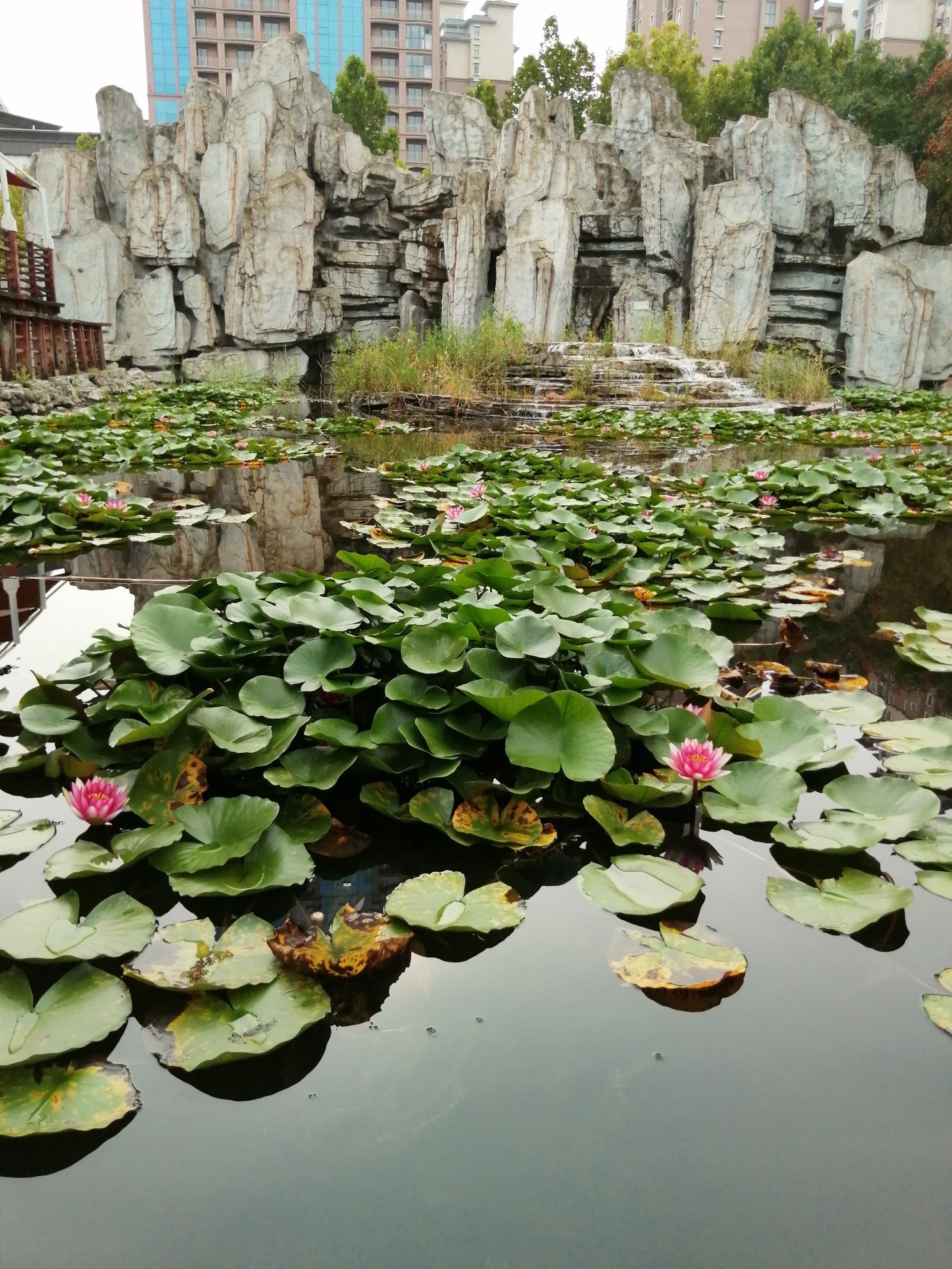 左照公园旅行图片 3