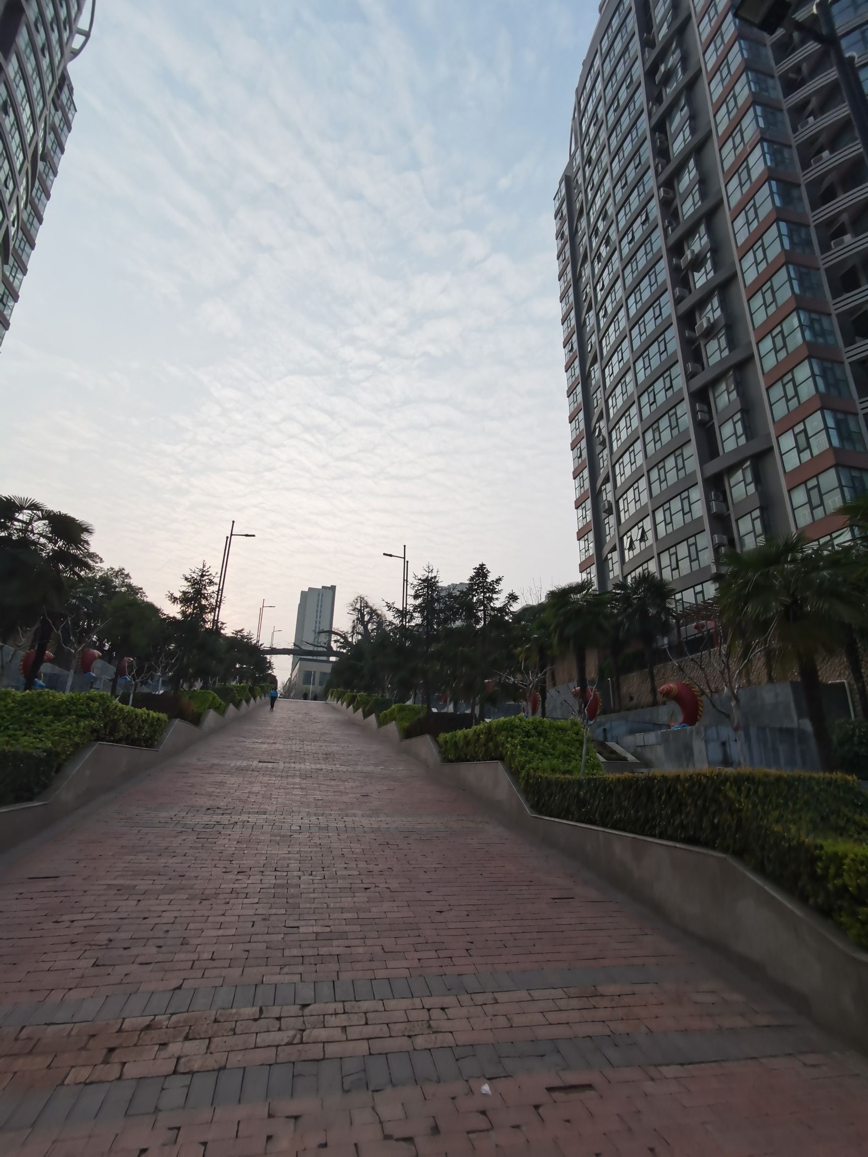左照公园旅行图片 2