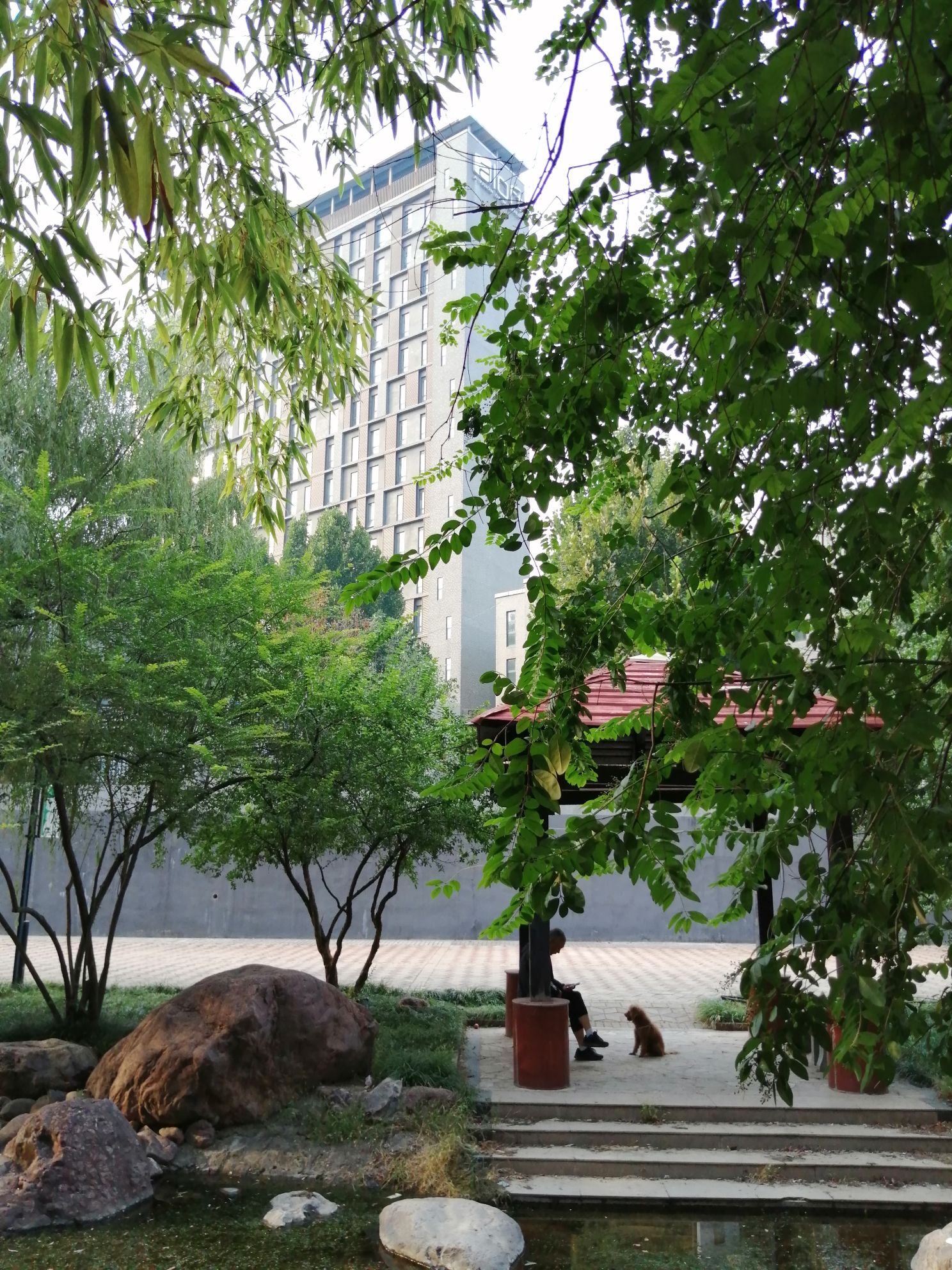 左照公园旅行图片 2