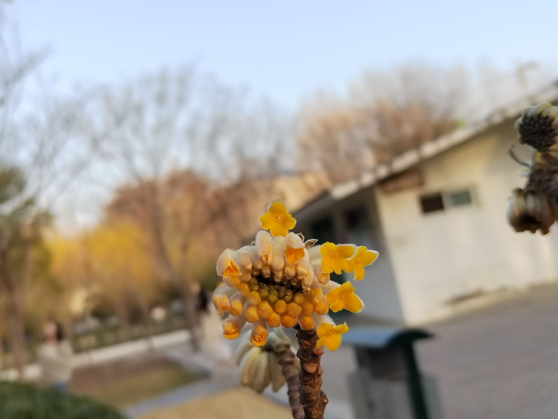 丈八沟公园旅行图片 1