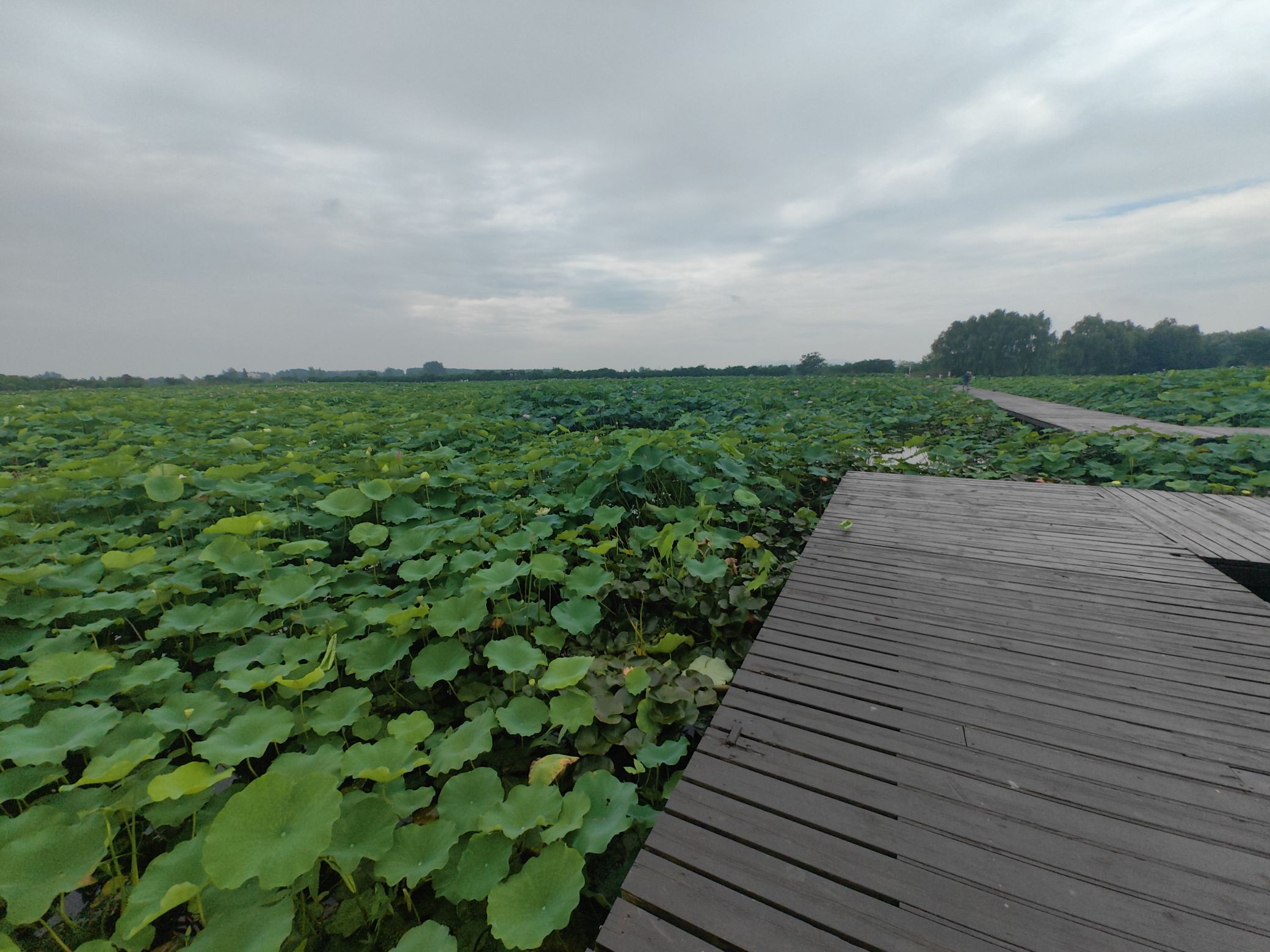 南京·龙潭水一方生态休闲旅游区旅行图片 3