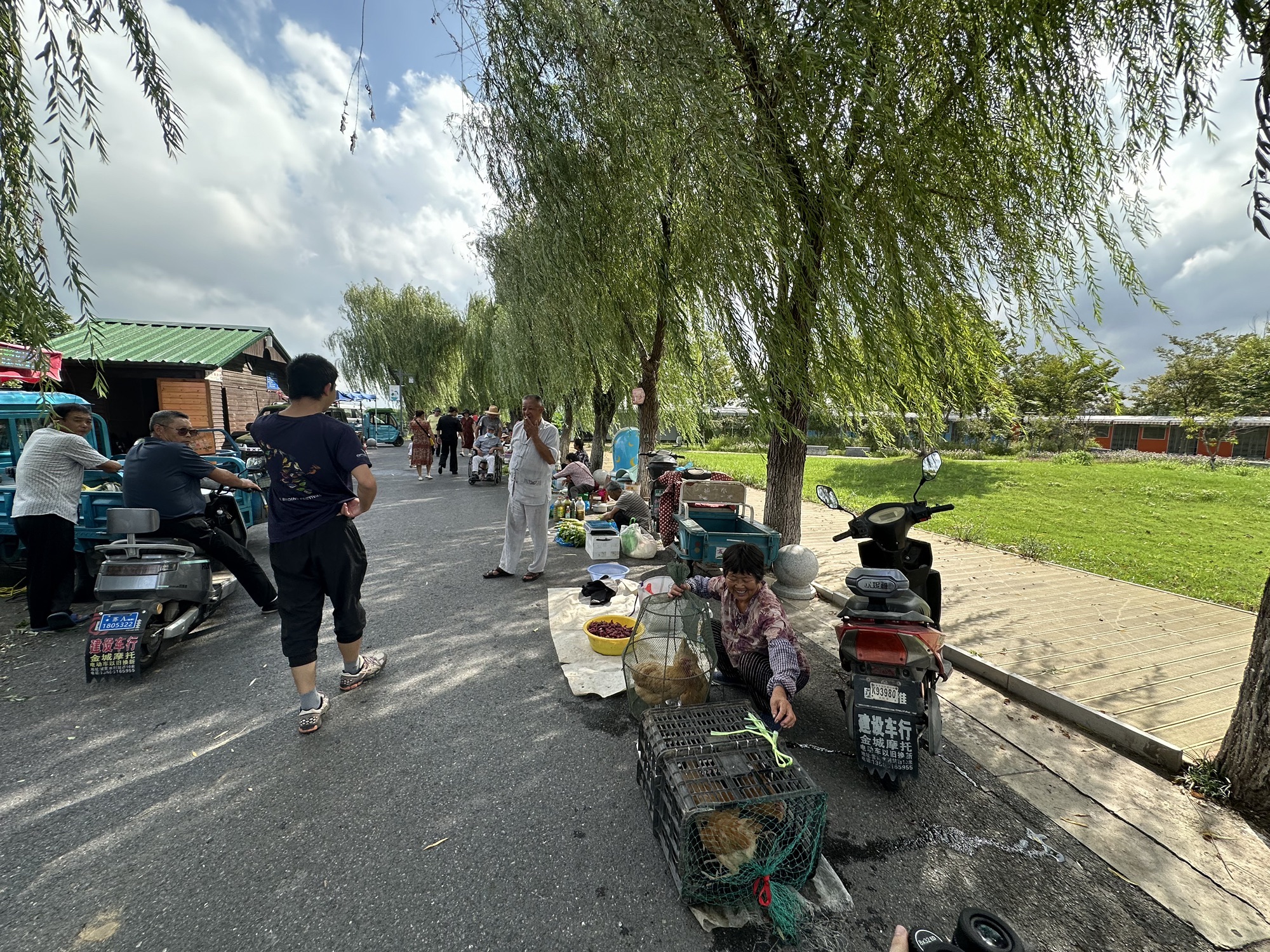 南京·龙潭水一方生态休闲旅游区旅行图片 2