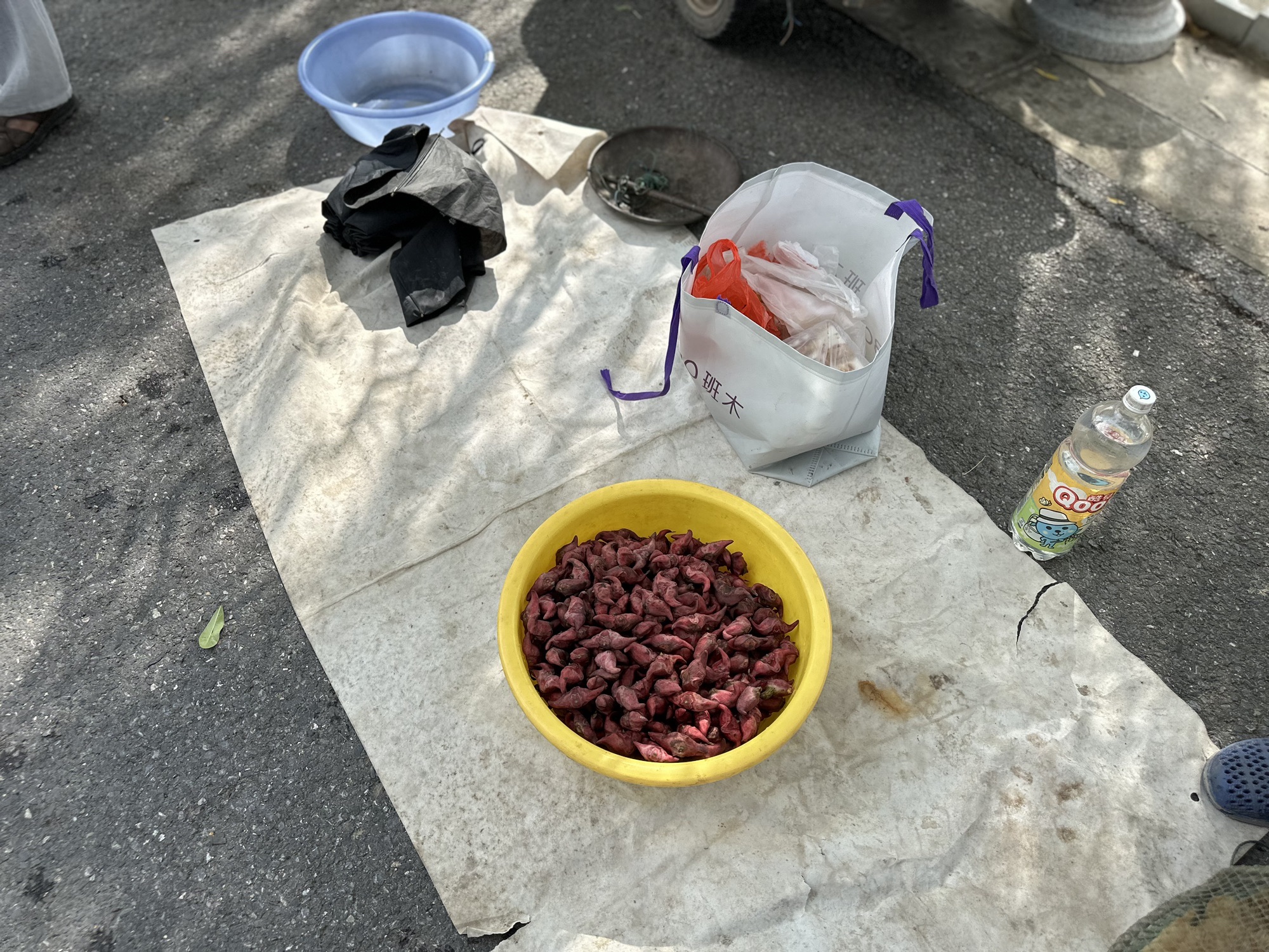 南京·龙潭水一方生态休闲旅游区旅行图片 3