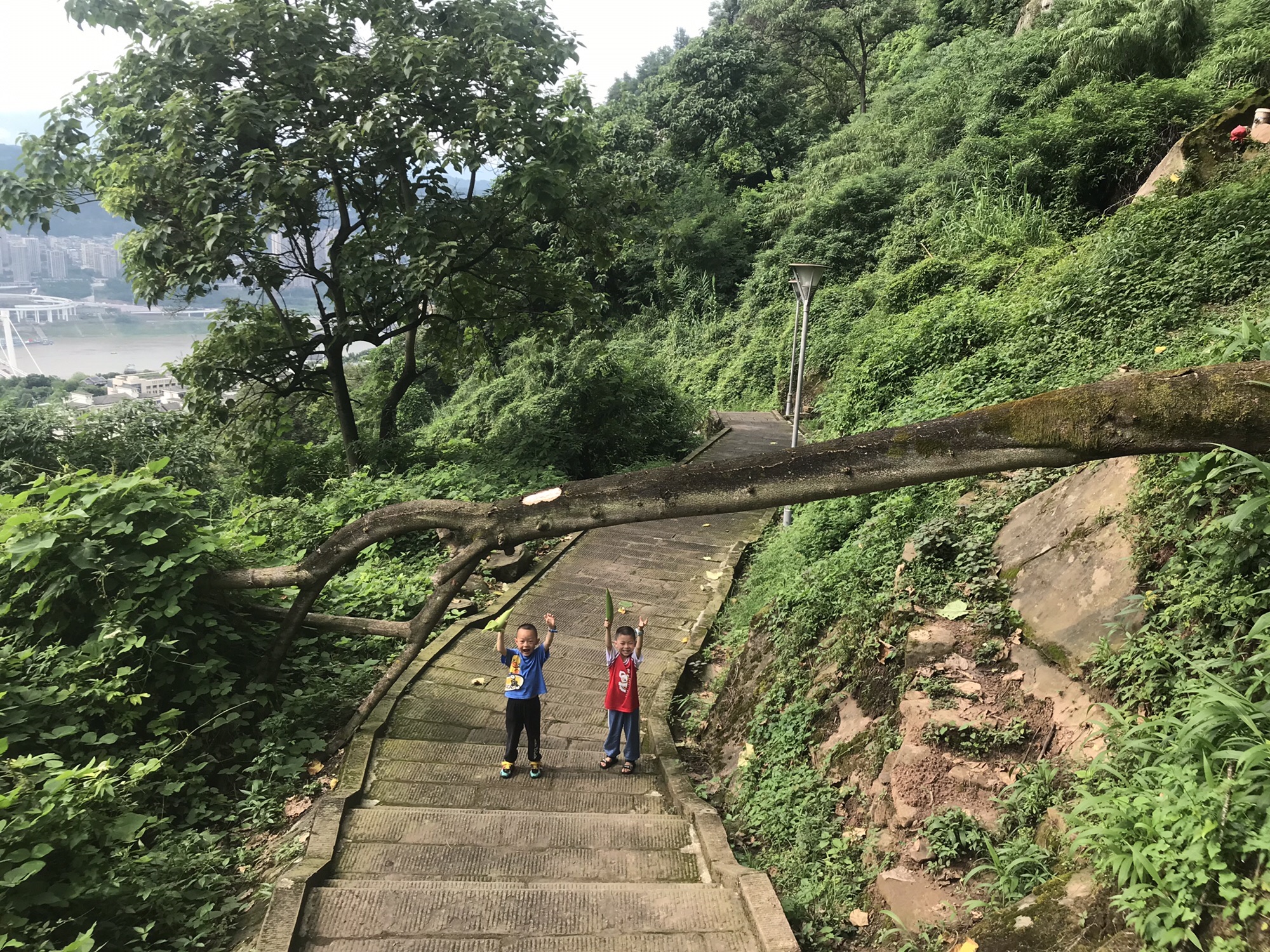 翠屏山公园旅行图片 3