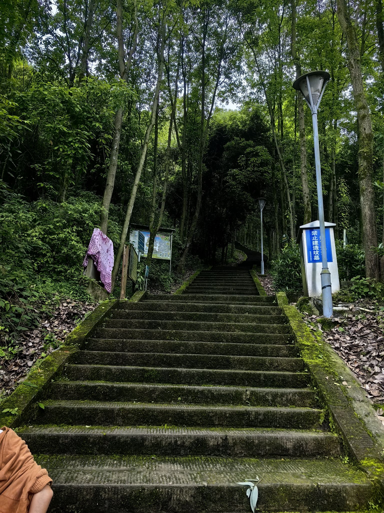 翠屏山公园旅行图片 2