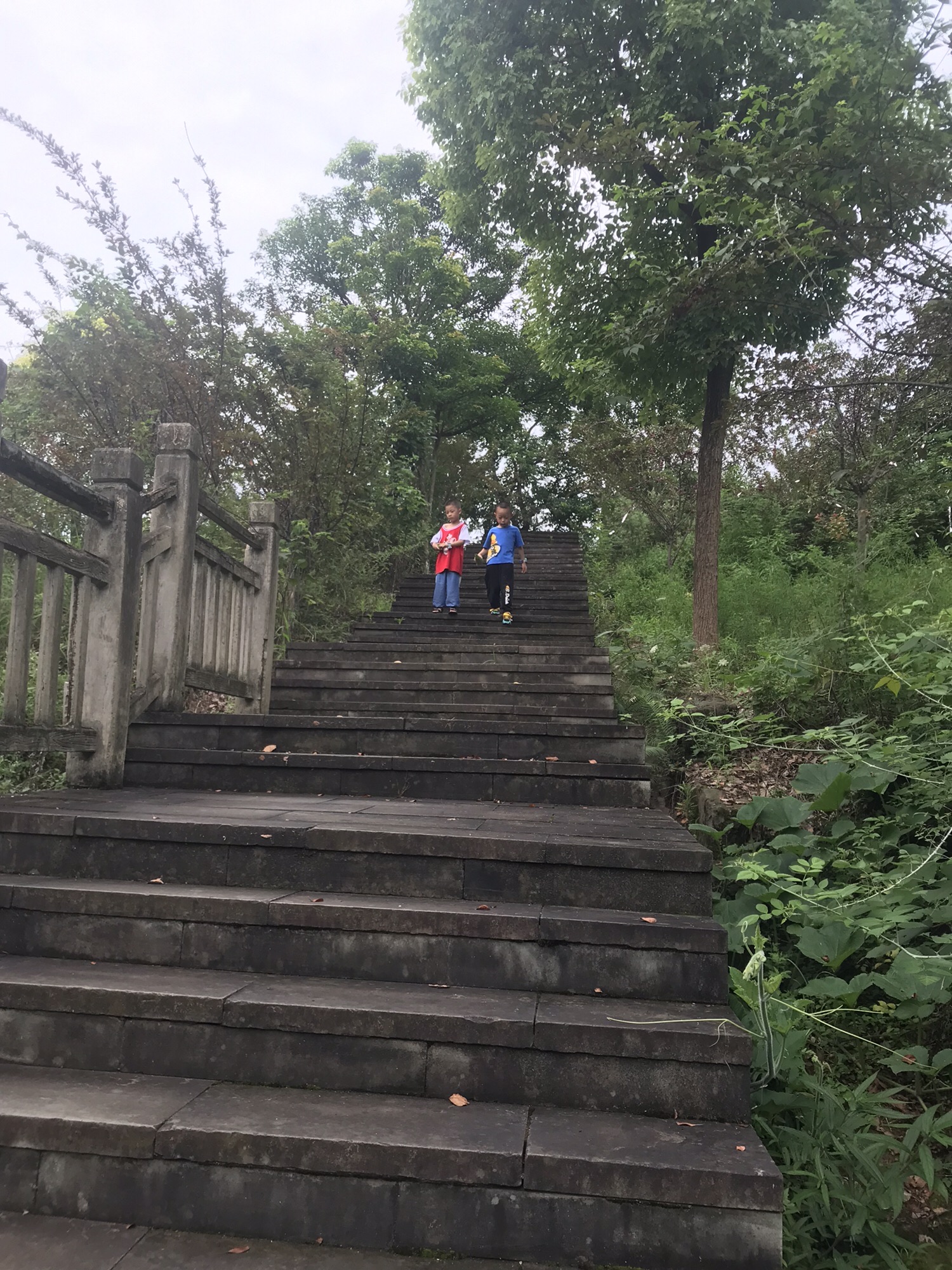 翠屏山公园旅行图片 2