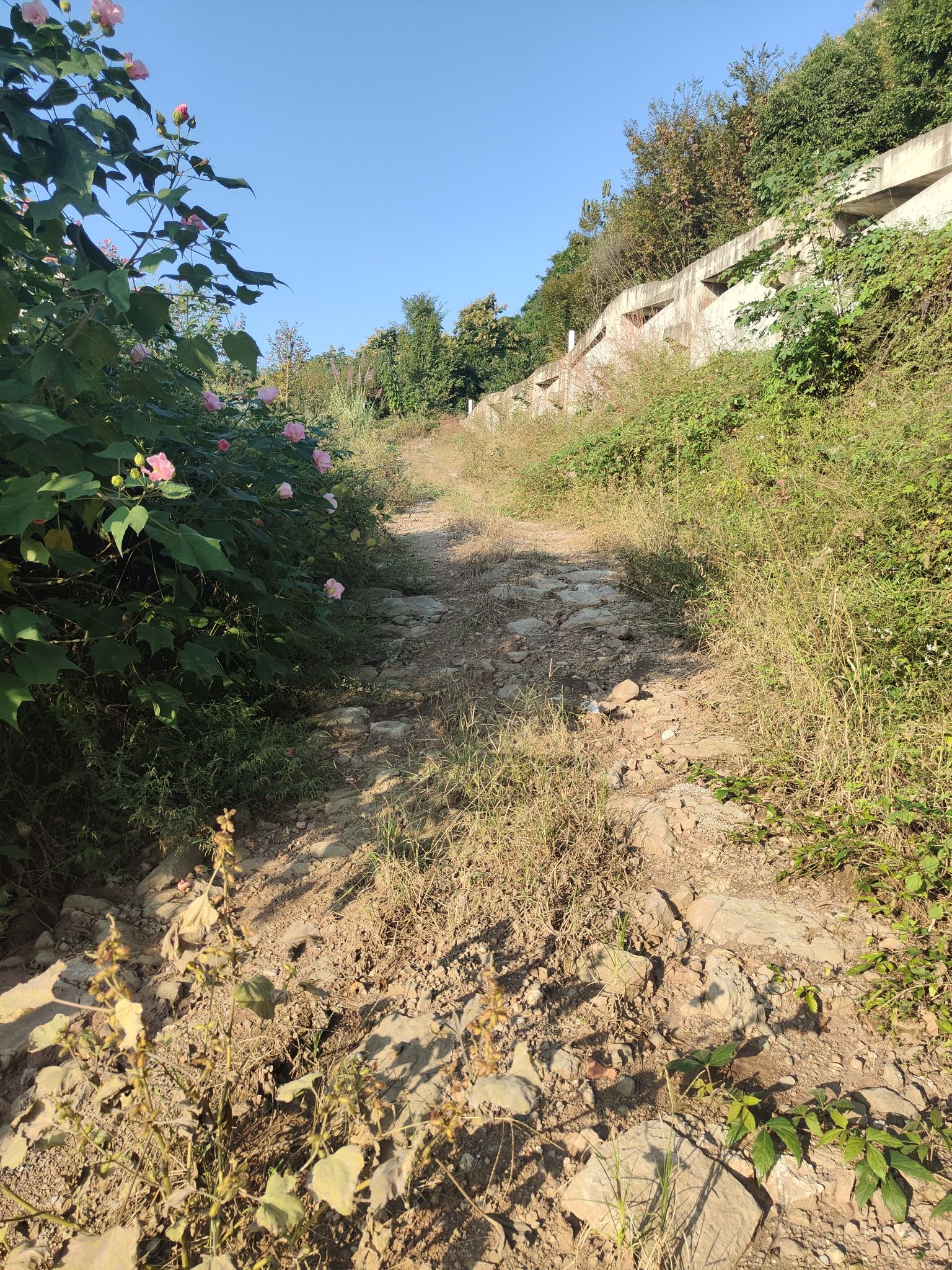 翠屏山公园旅行图片 3