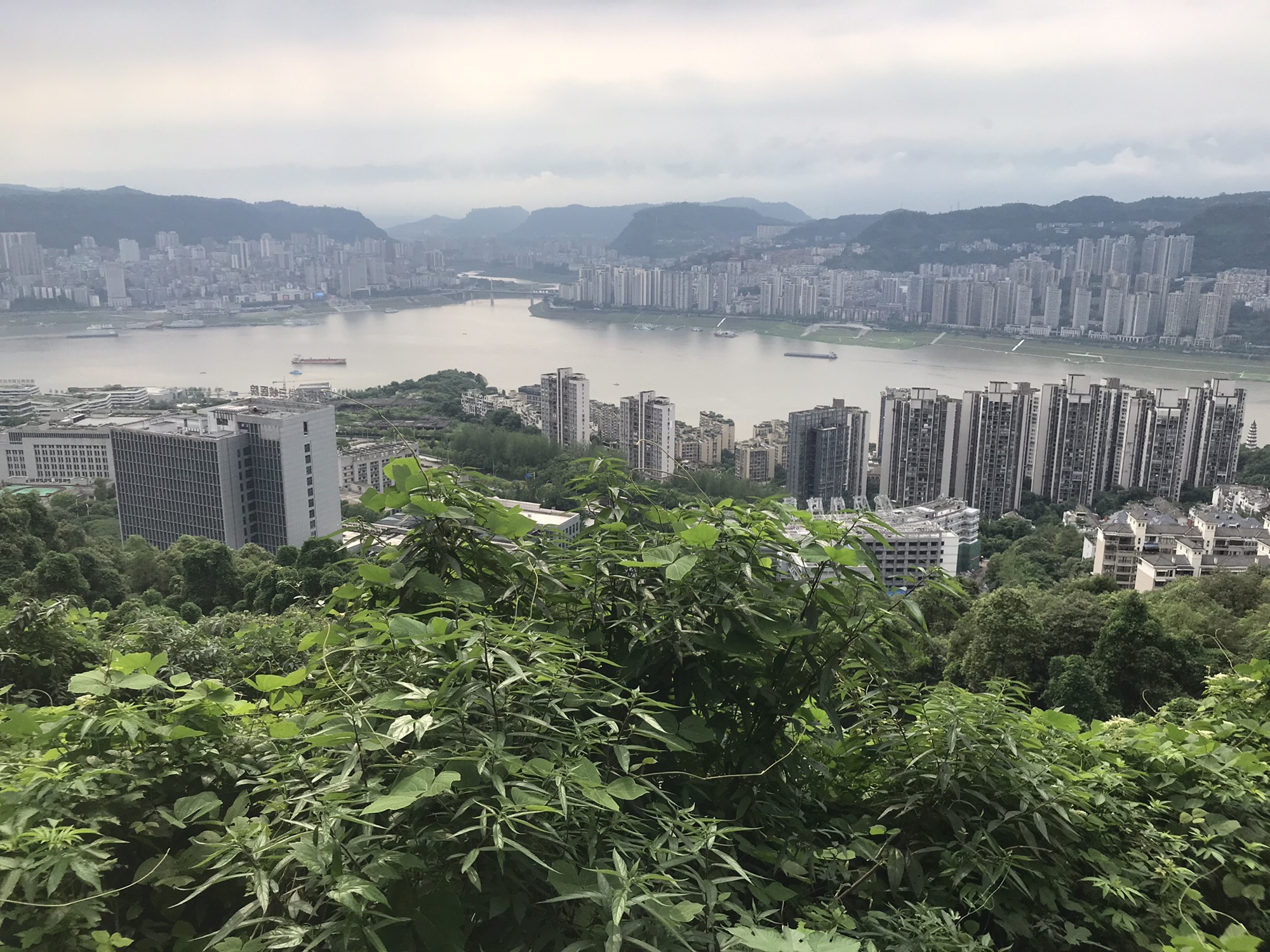 翠屏山公园旅行图片 1