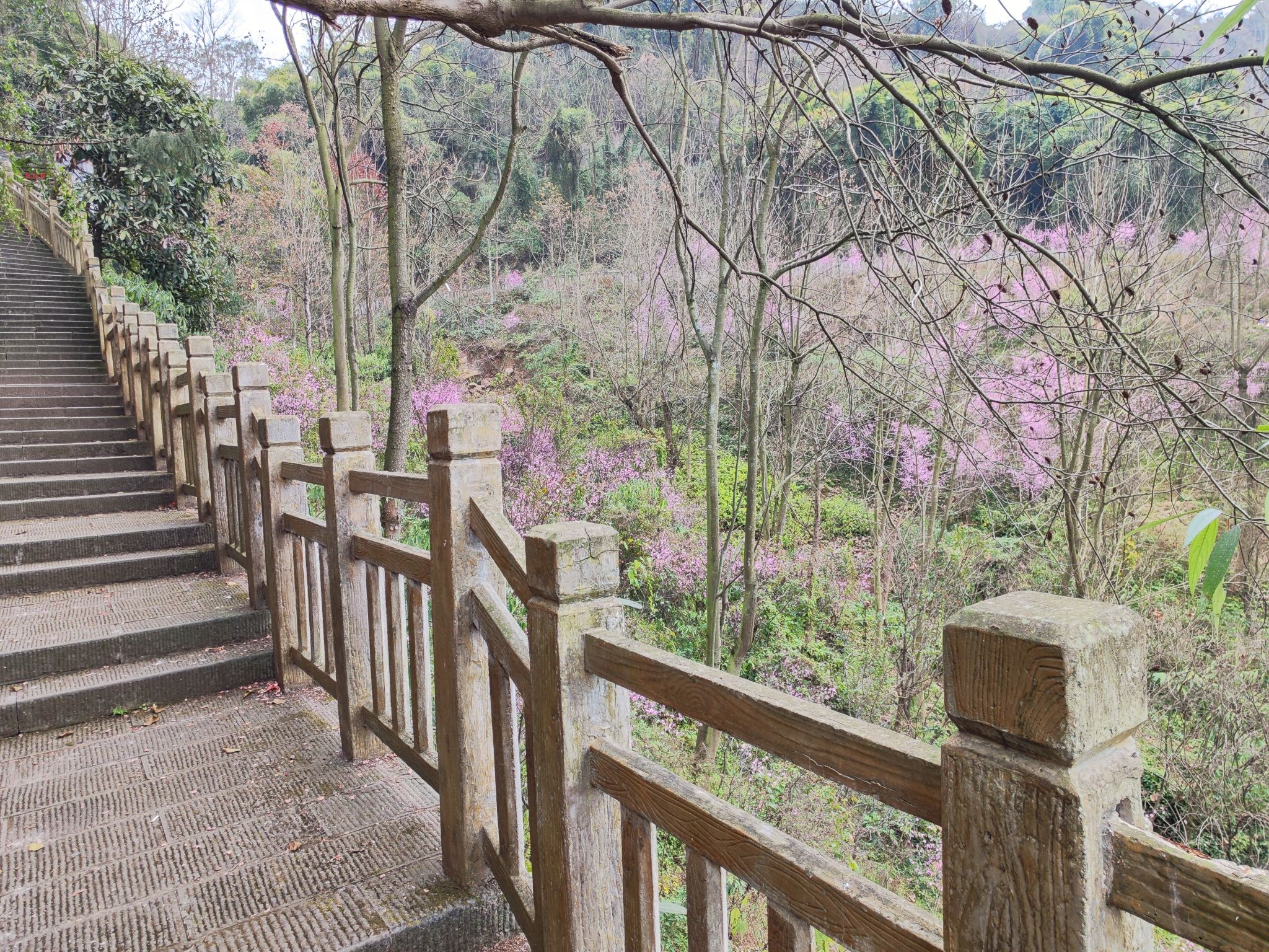 翠屏山公园旅行图片 1