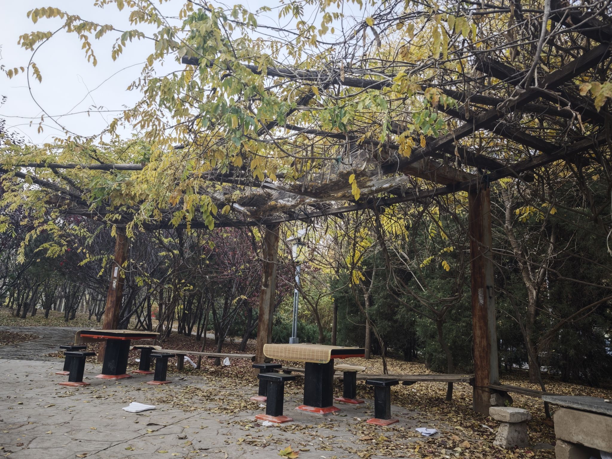 清溪园旅行图片 2
