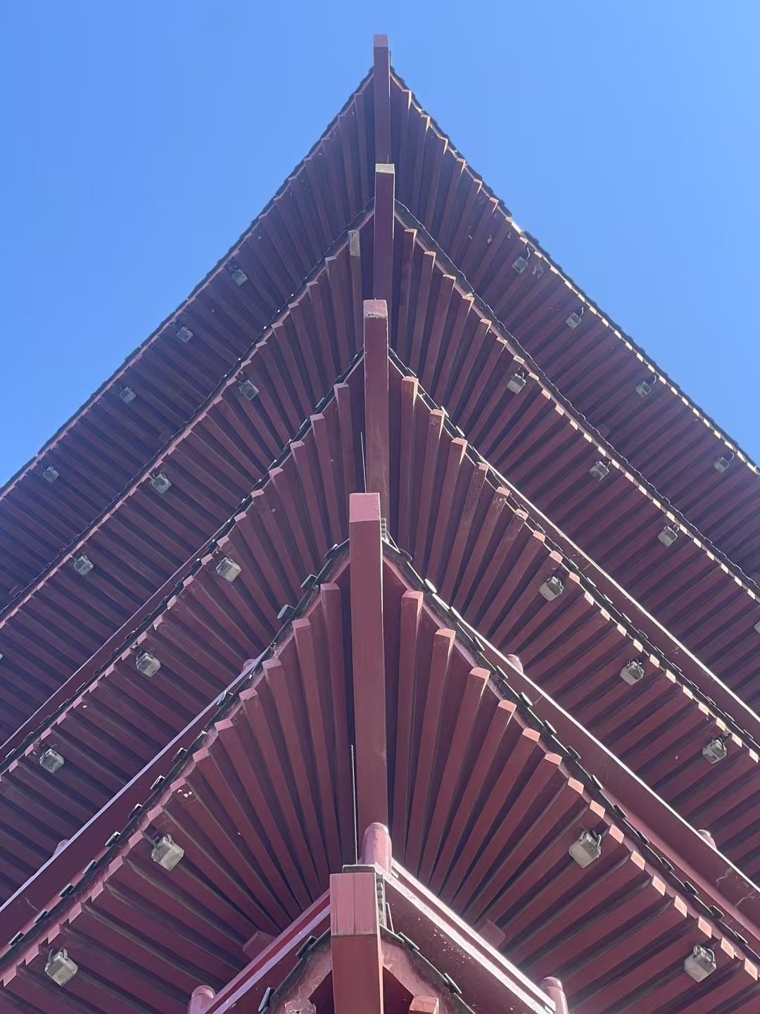 聚星阁旅行图片 1