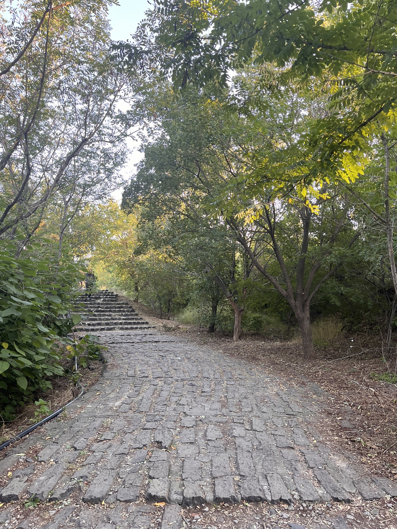 山东昌乐火山国家地质公园旅行图片 3