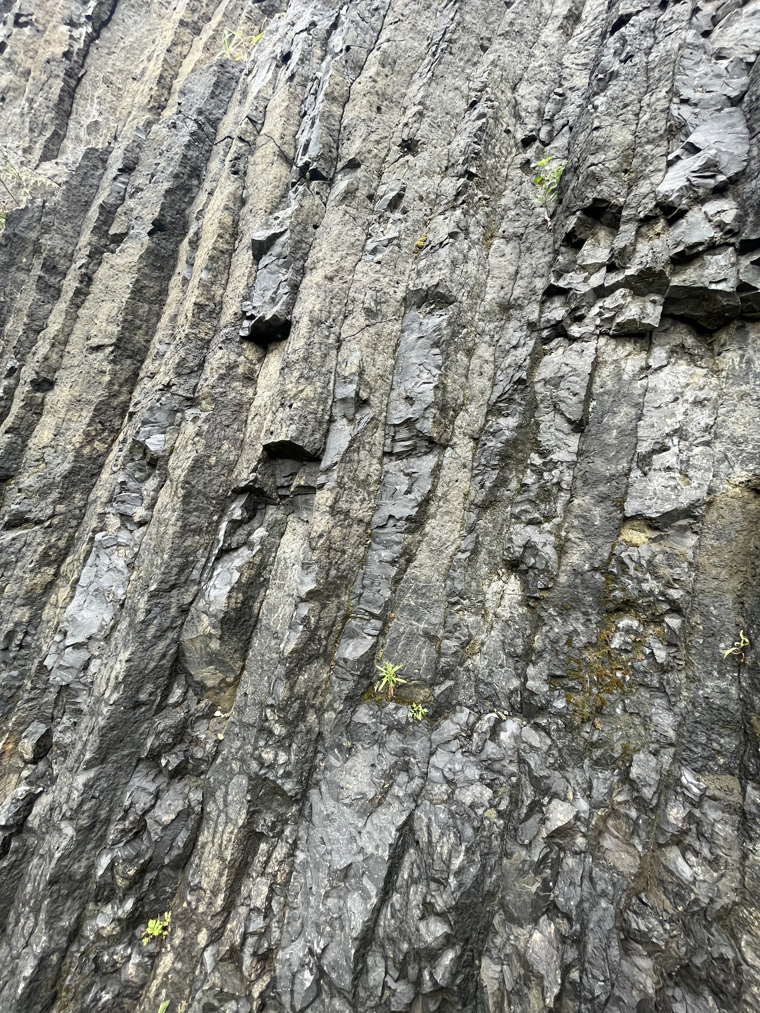 山东昌乐火山国家地质公园旅行图片 3
