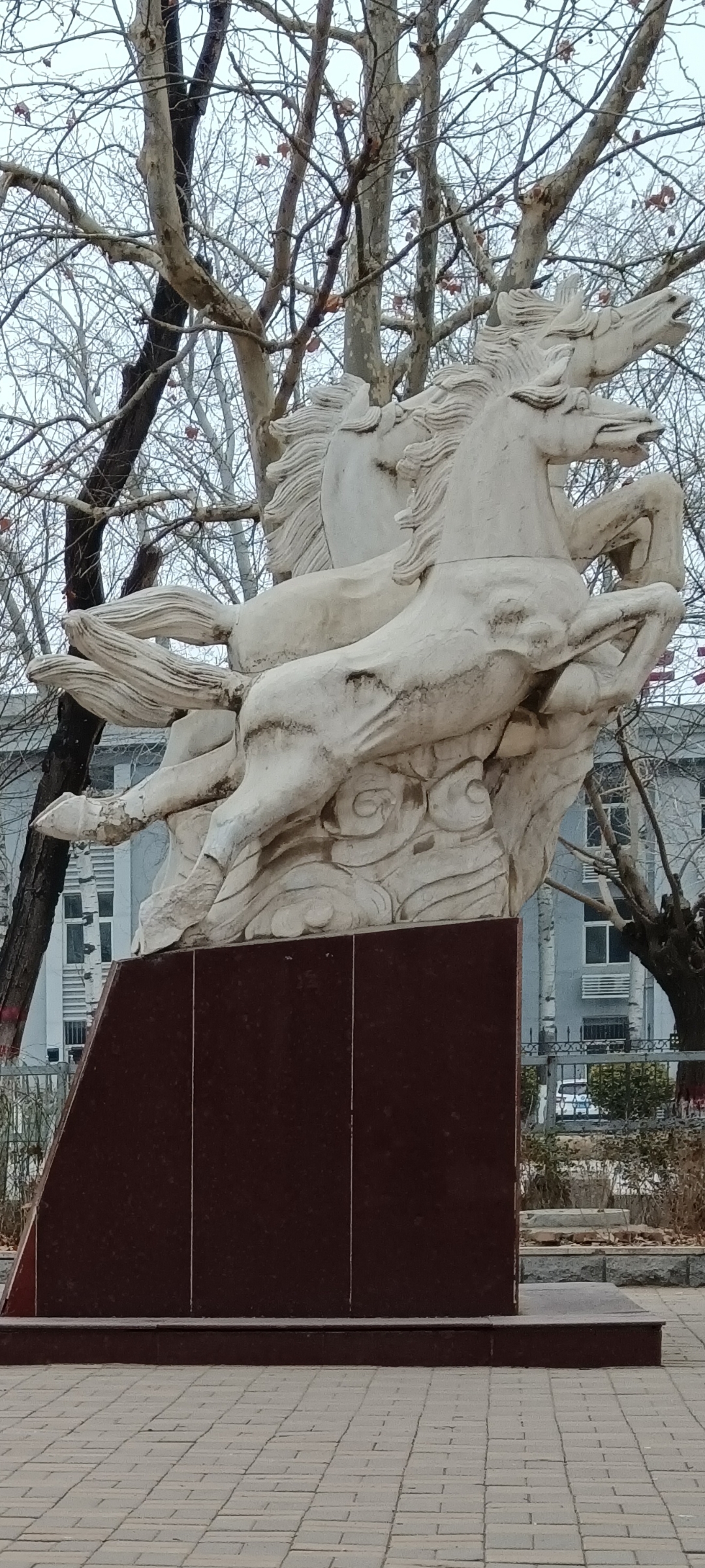 丽泽广场旅行图片 3