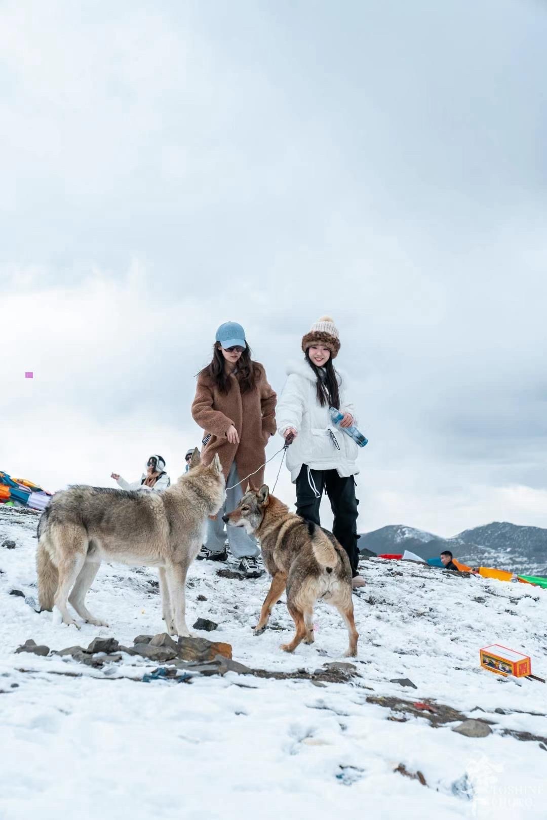 折多山旅行图片 1