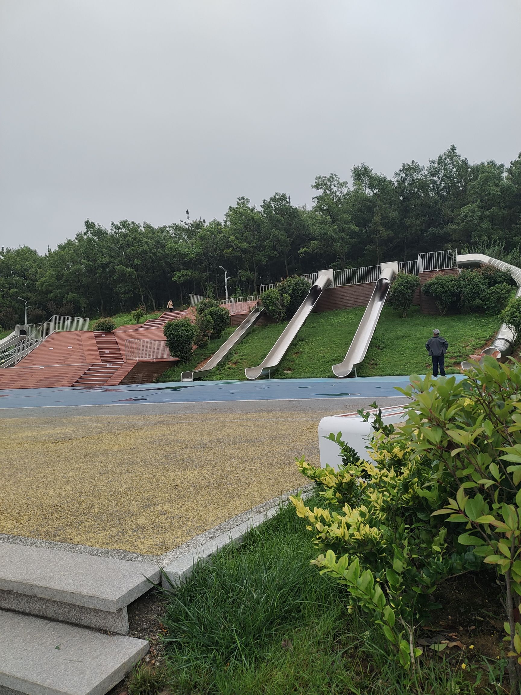 百树园旅行图片 3