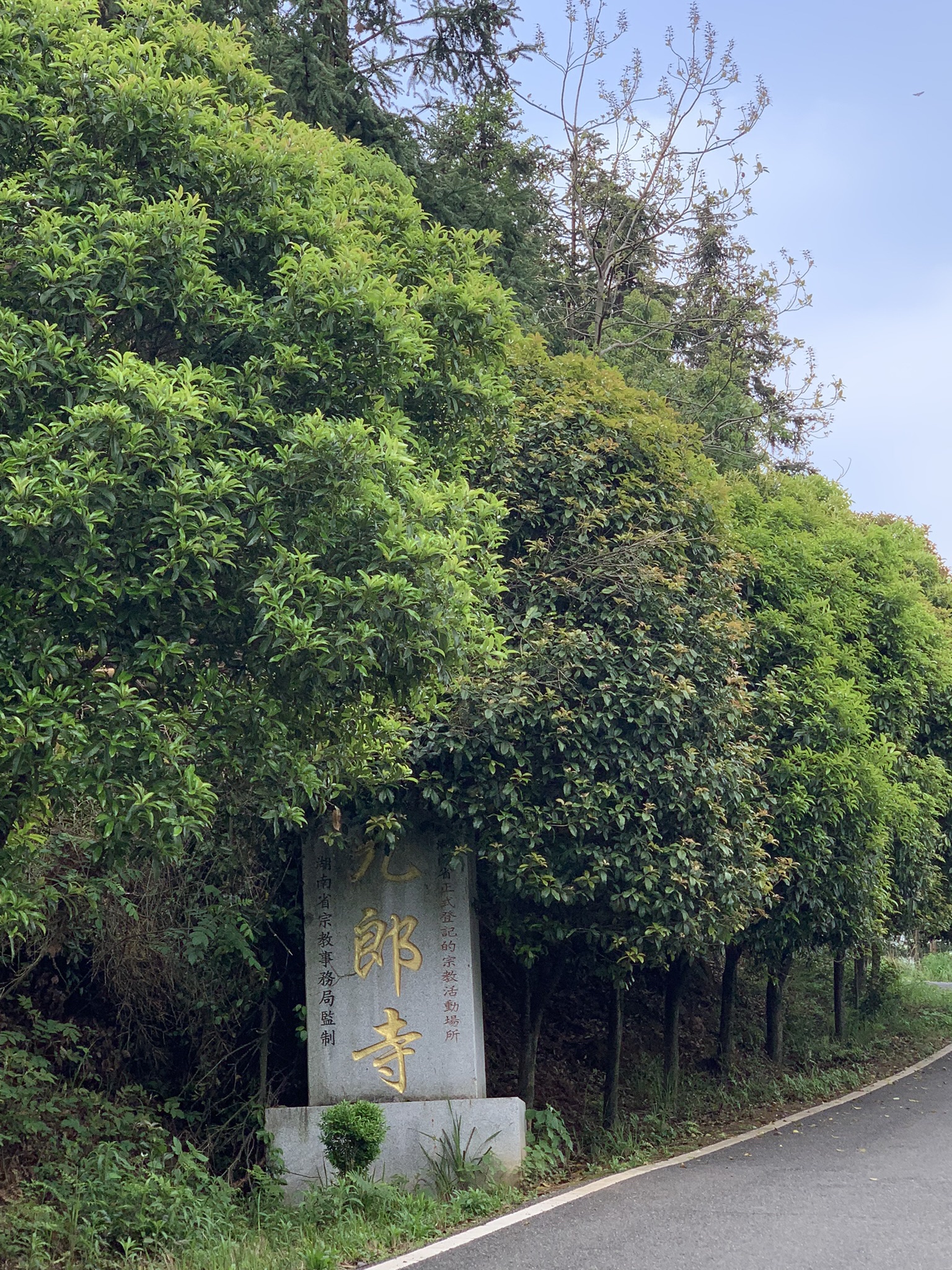 九郎山森林公园旅行图片 2